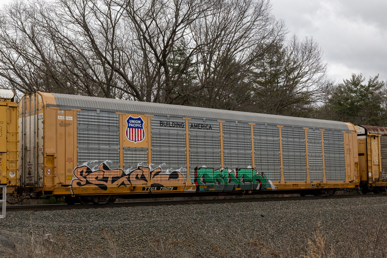 TTGX 715078