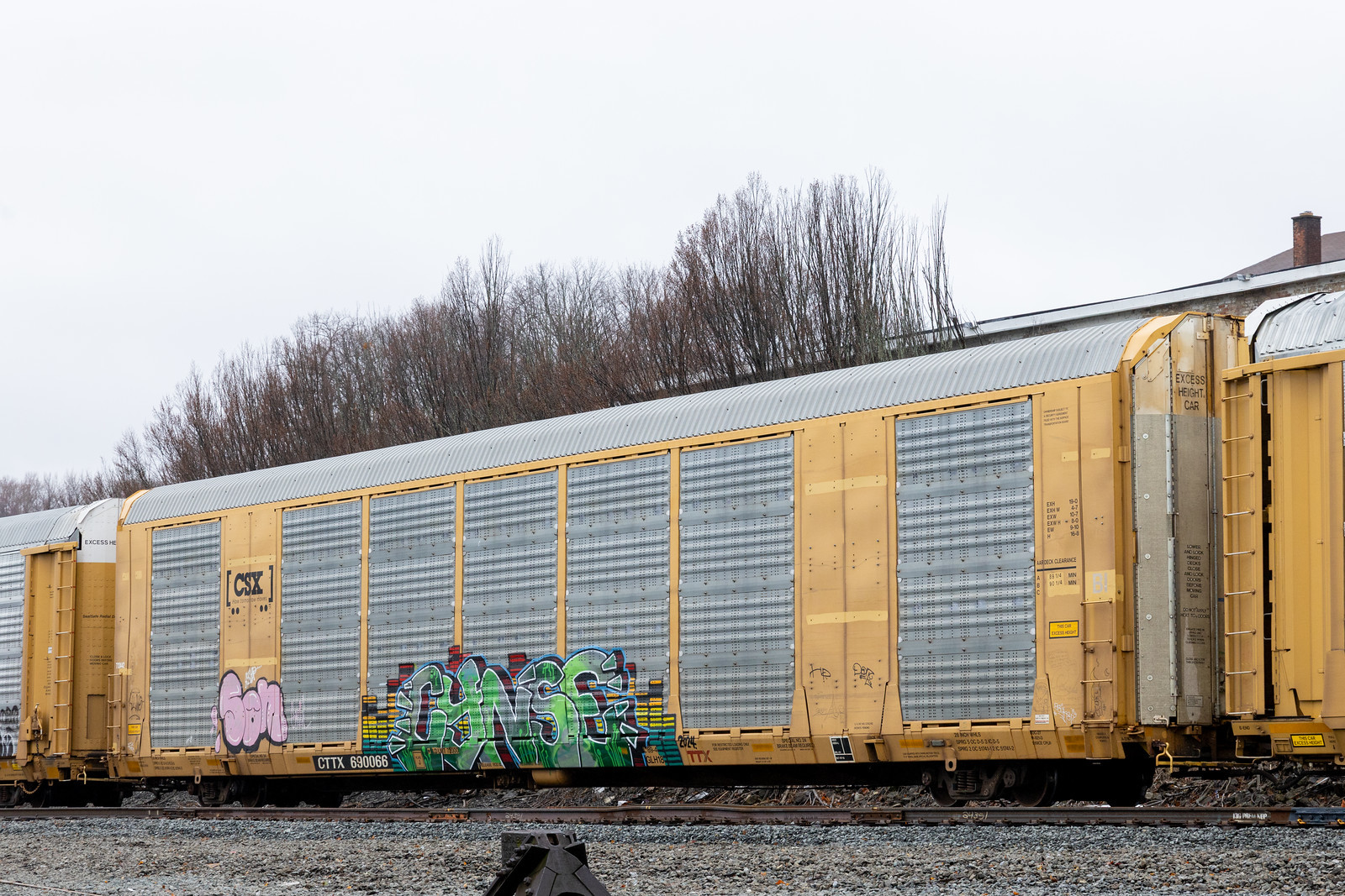 CTTX 690066