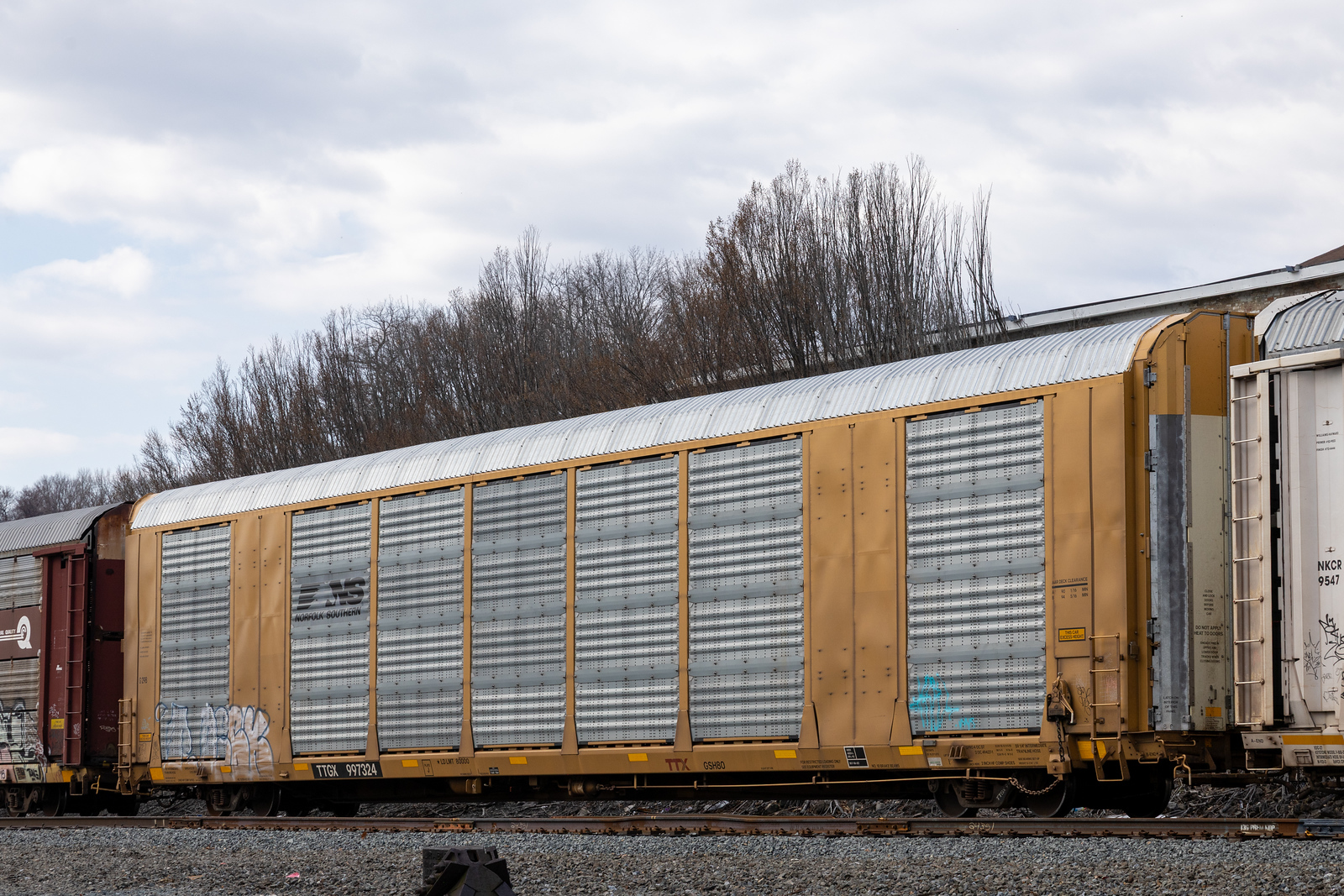 TTGX 997324