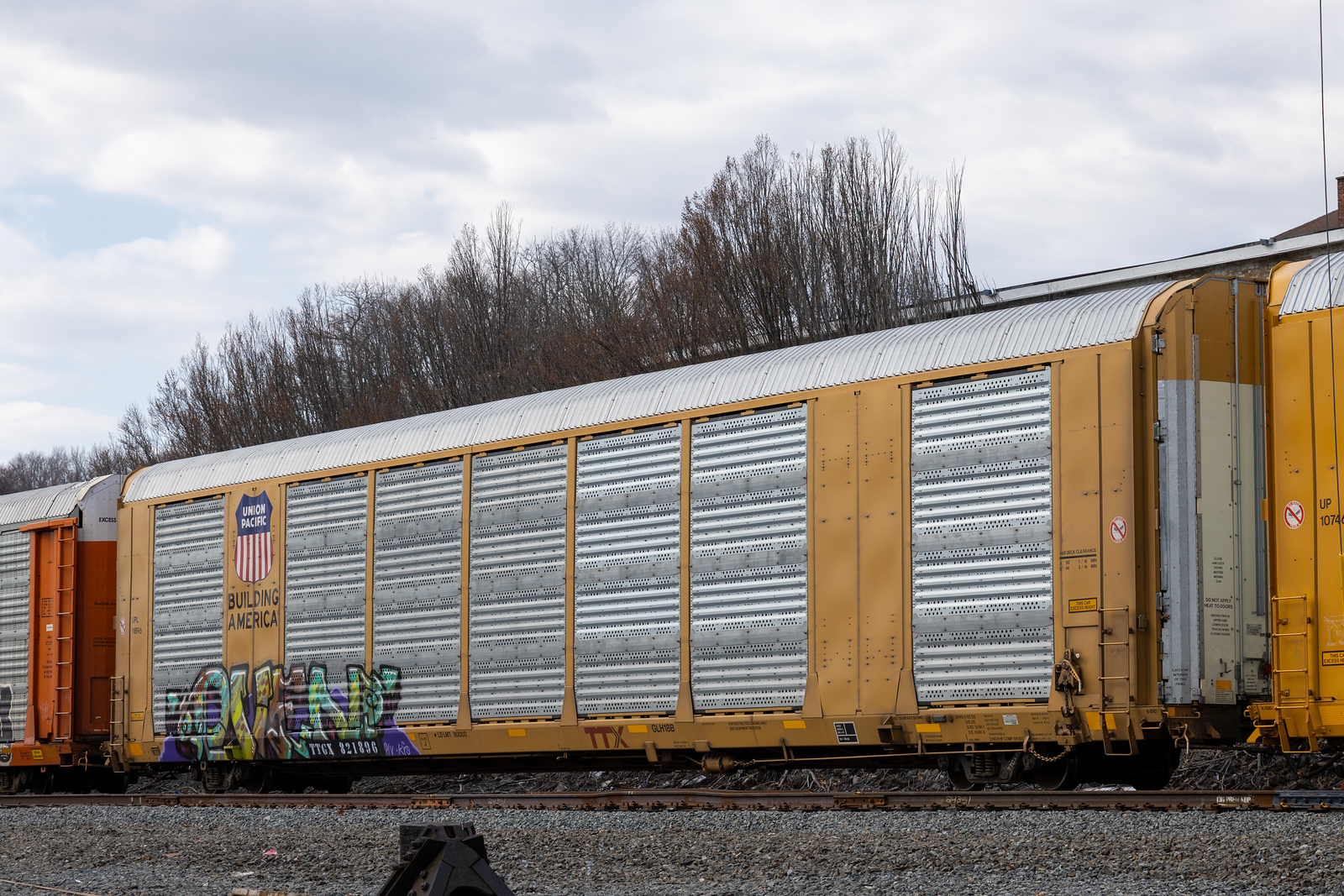 TTGX 821896