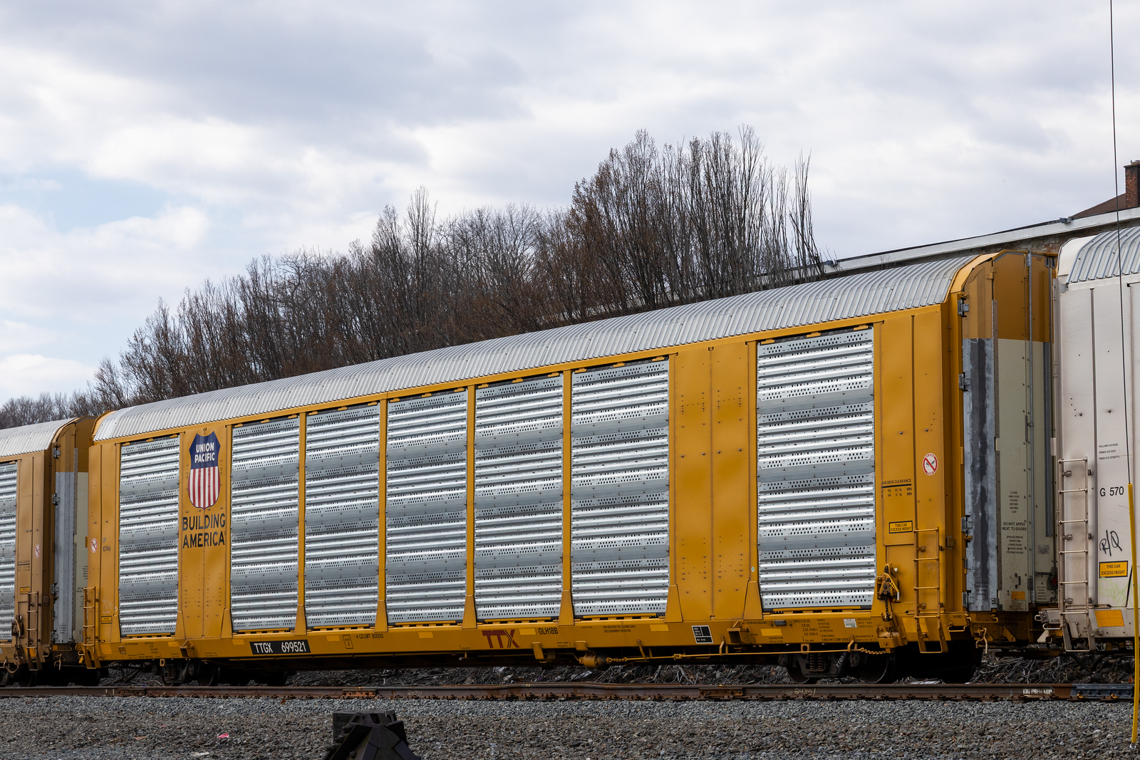 TTGX 699521