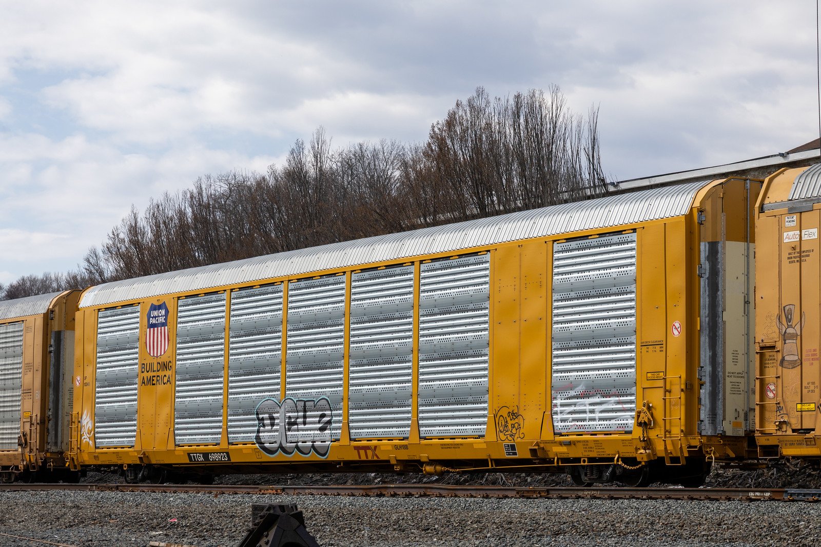 TTGX 698923