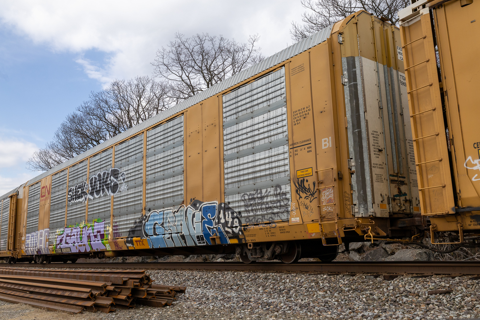 TTGX 696906