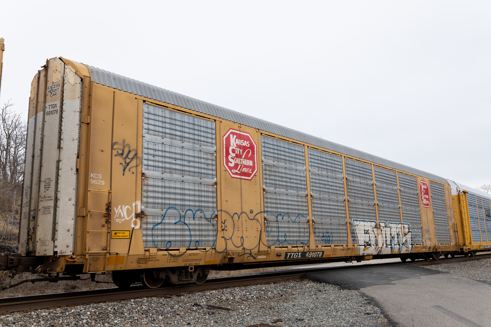 TTGX 691078