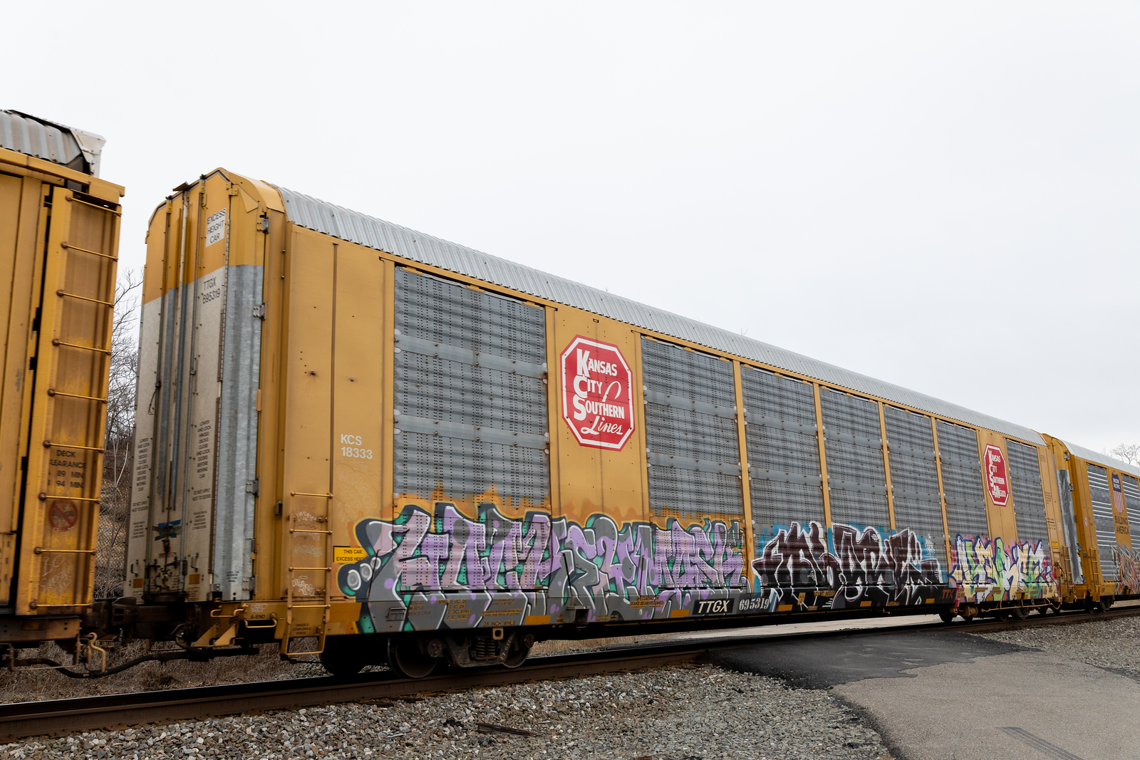 TTGX 695319
