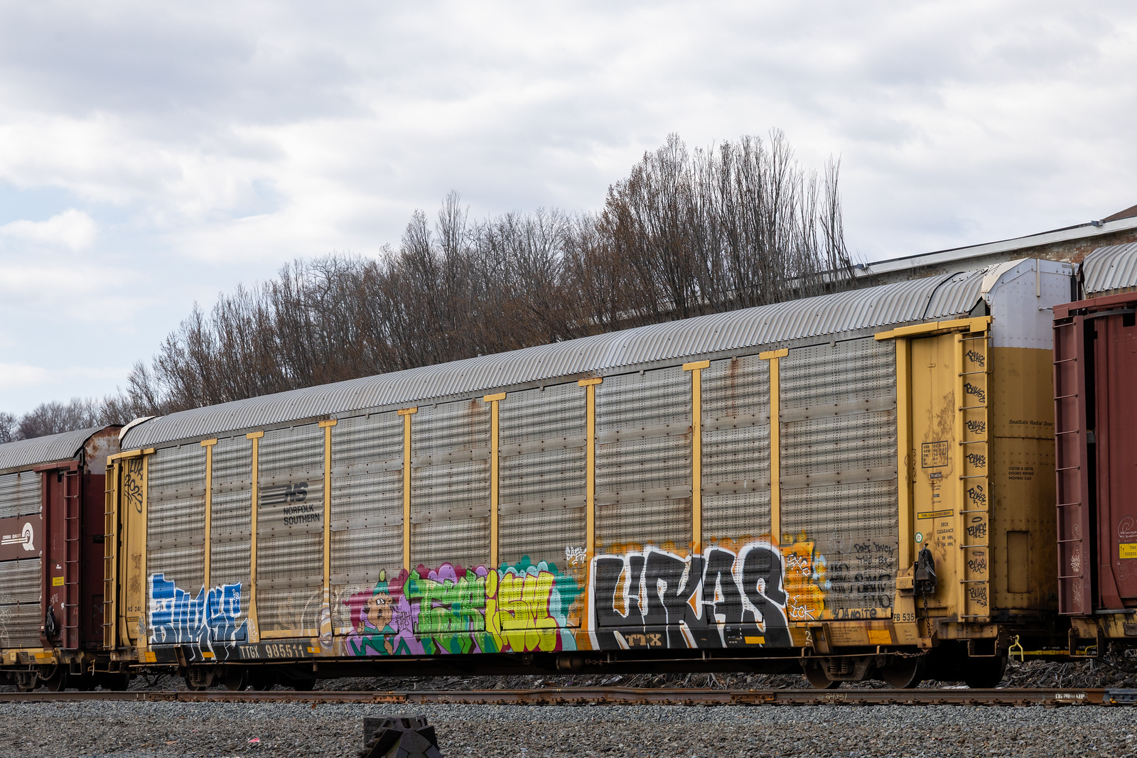 TTGX 985511