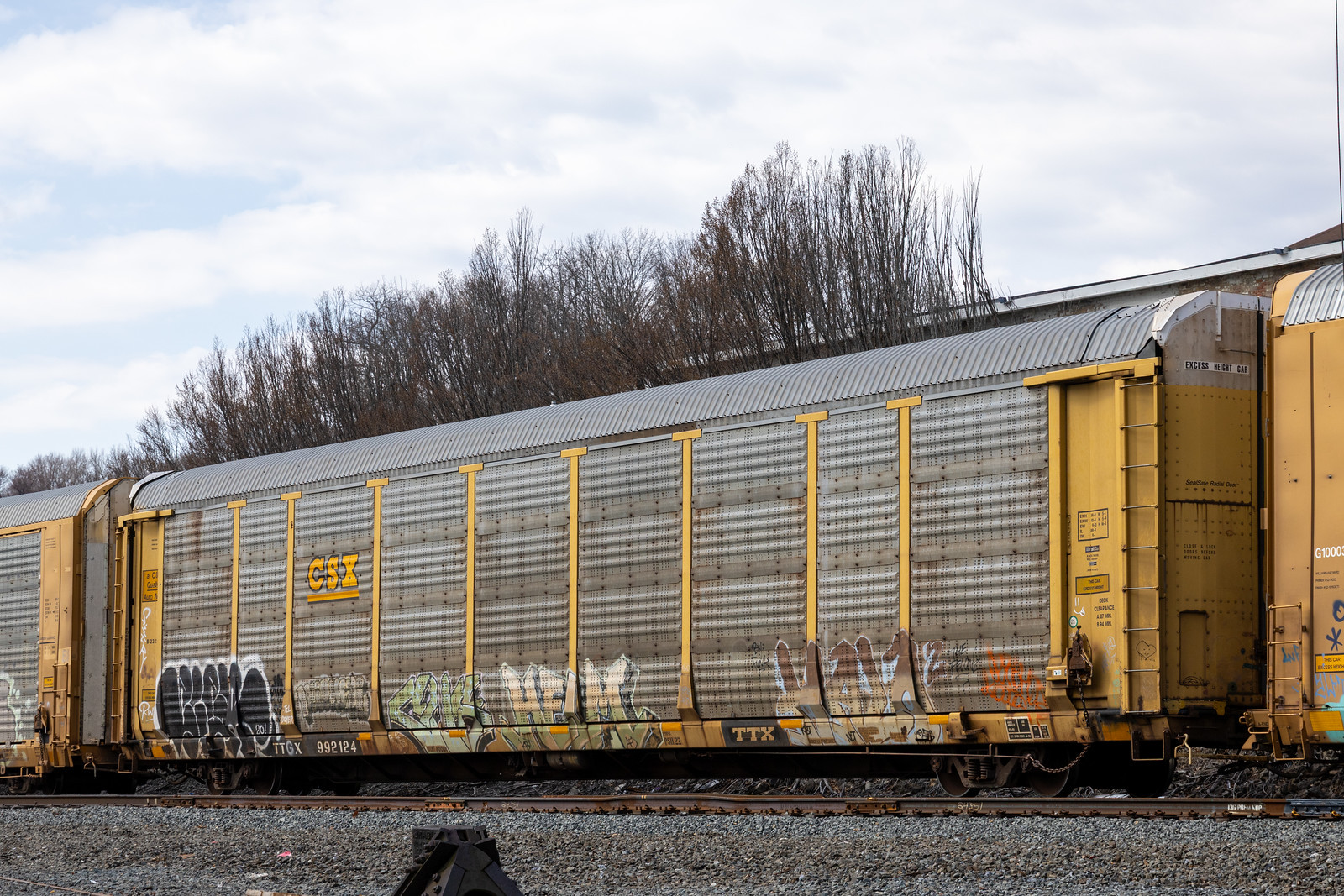TTGX 992124