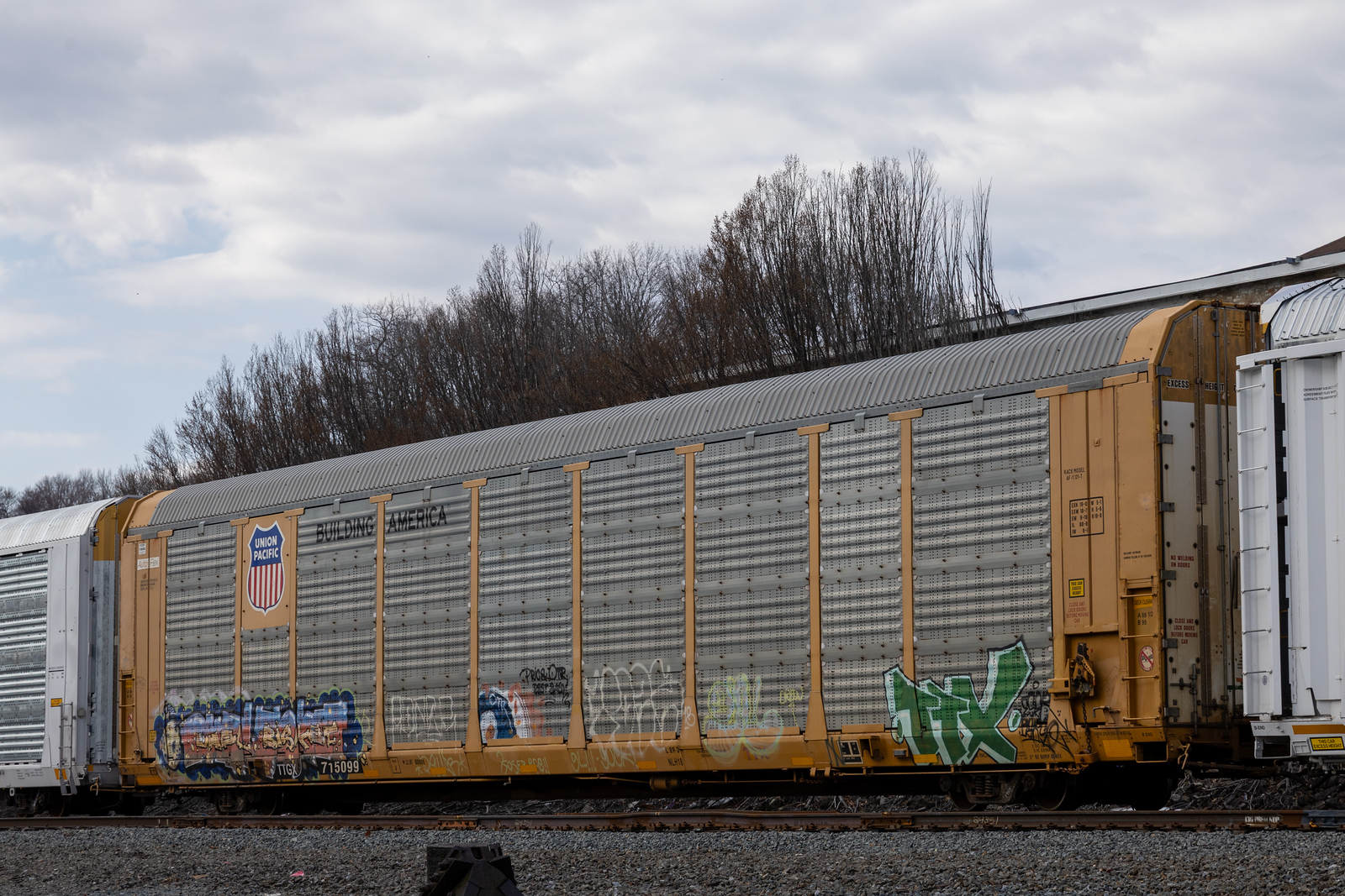 TTGX 715099