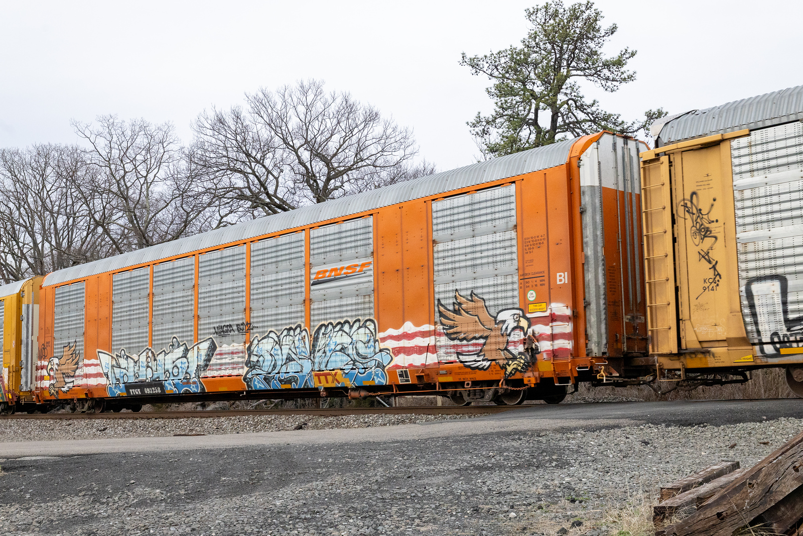 TTGX 693258