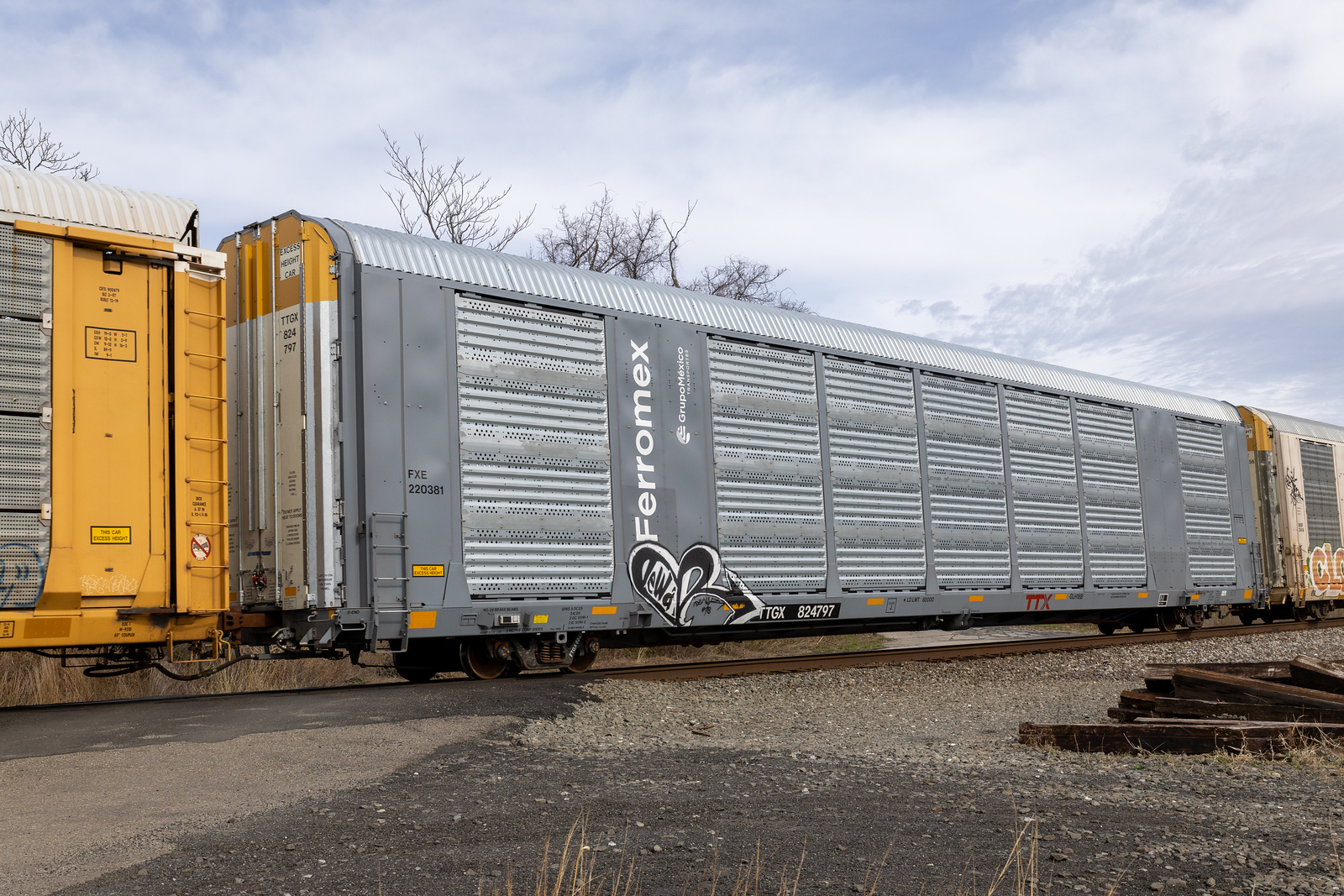 TTGX 824797