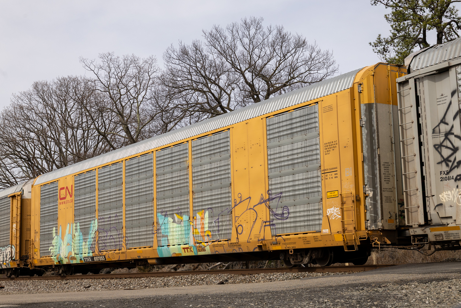 TTGX 697055
