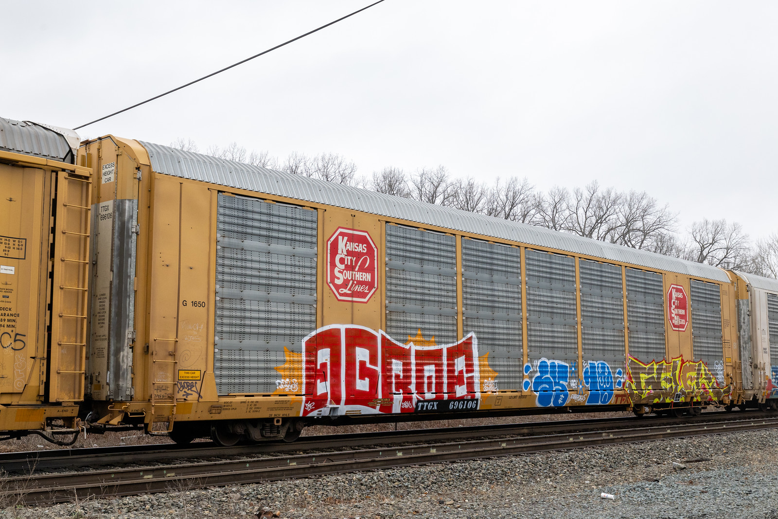 TTGX 696106