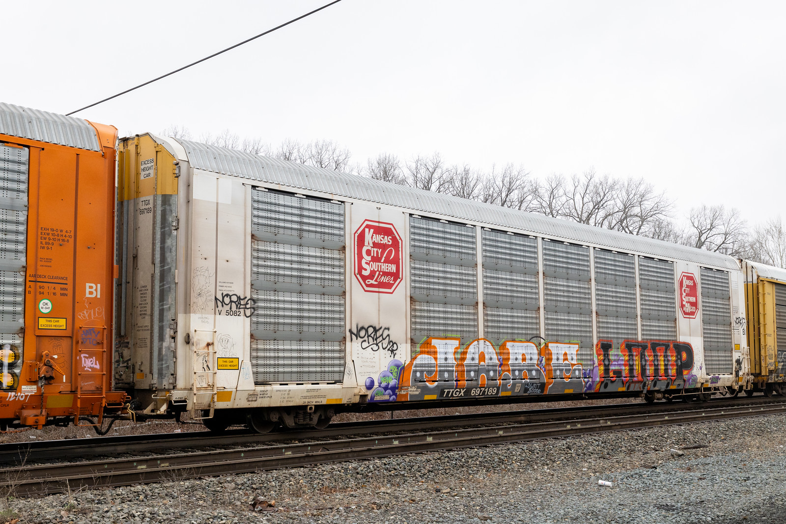 TTGX 697189