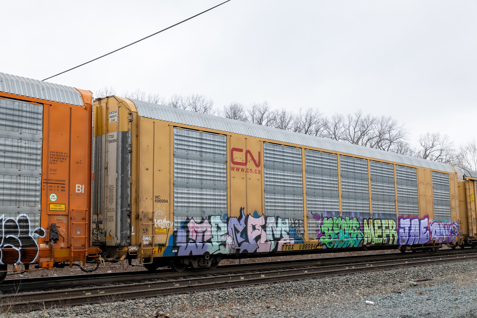 TTGX 696994