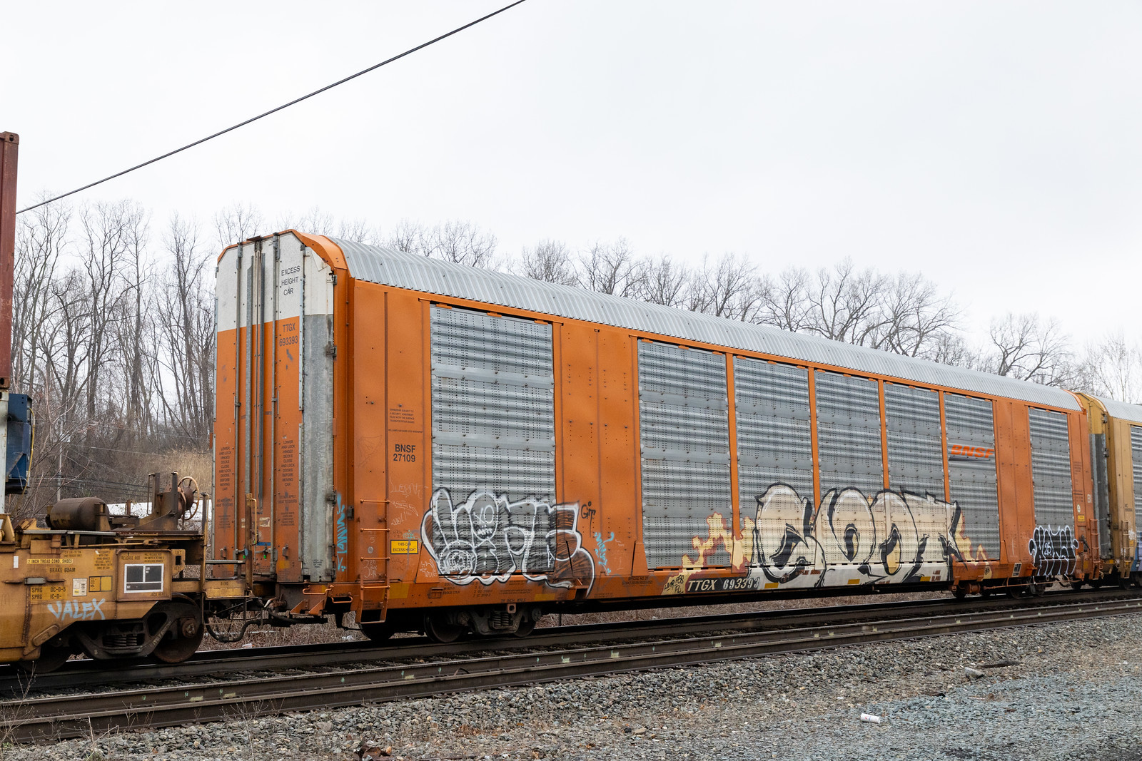 TTGX 693393
