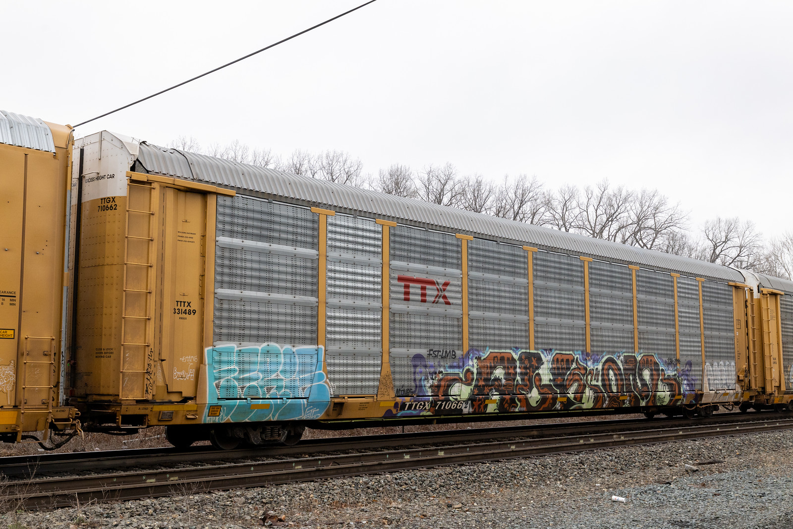 TTGX 710662