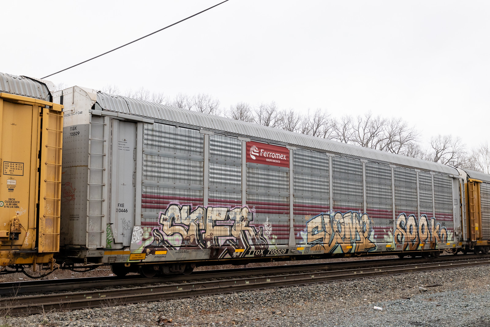 TTGX 705529