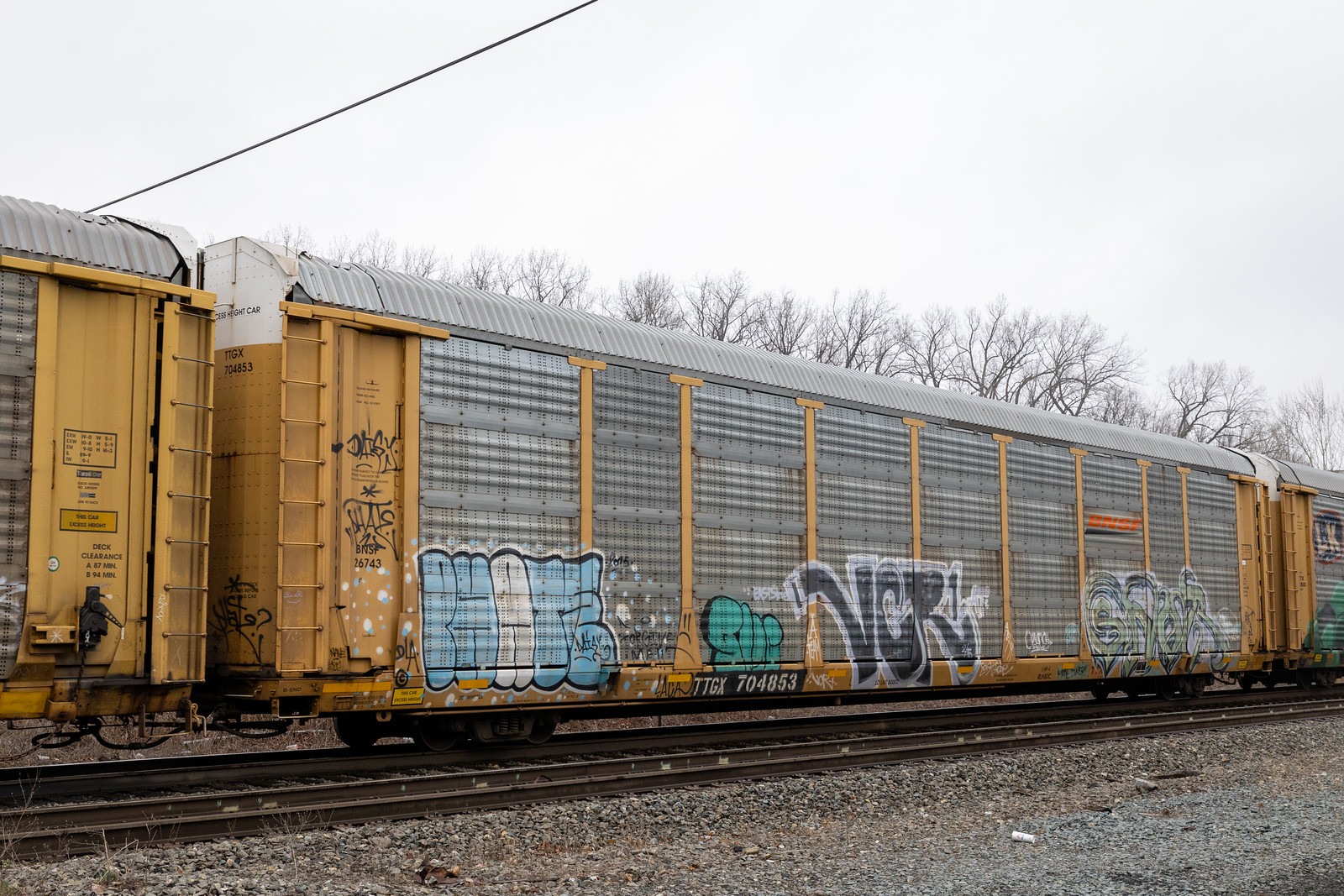 TTGX 704853