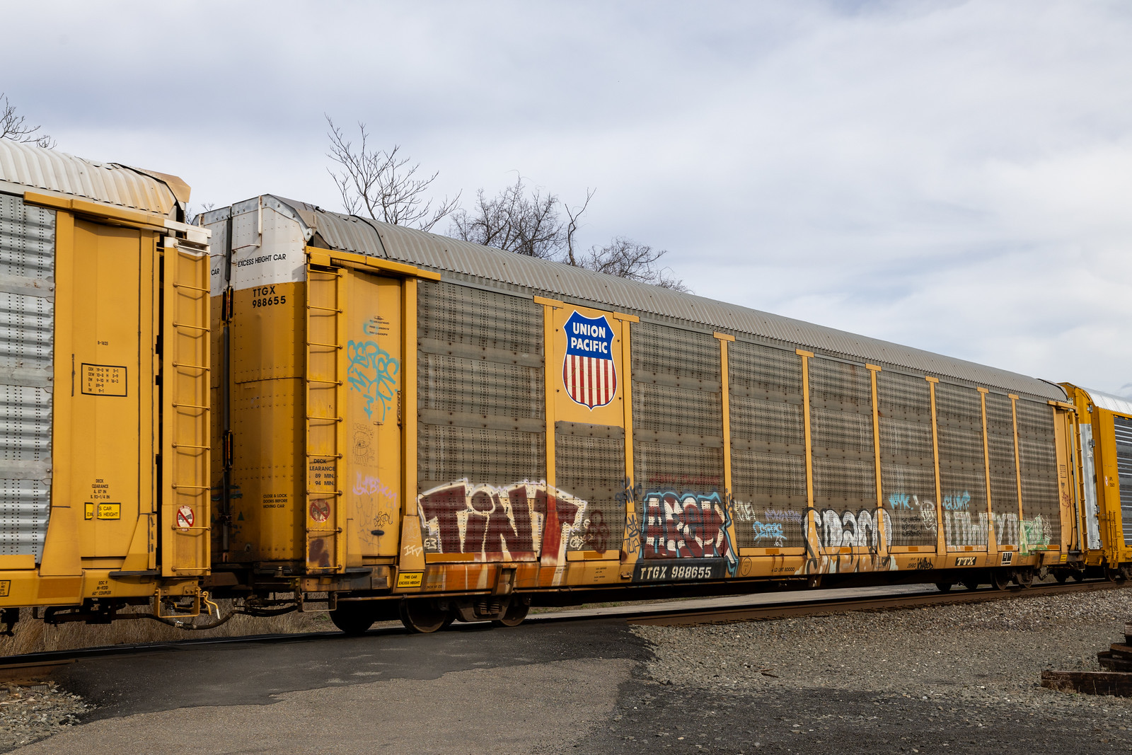 TTGX 988655