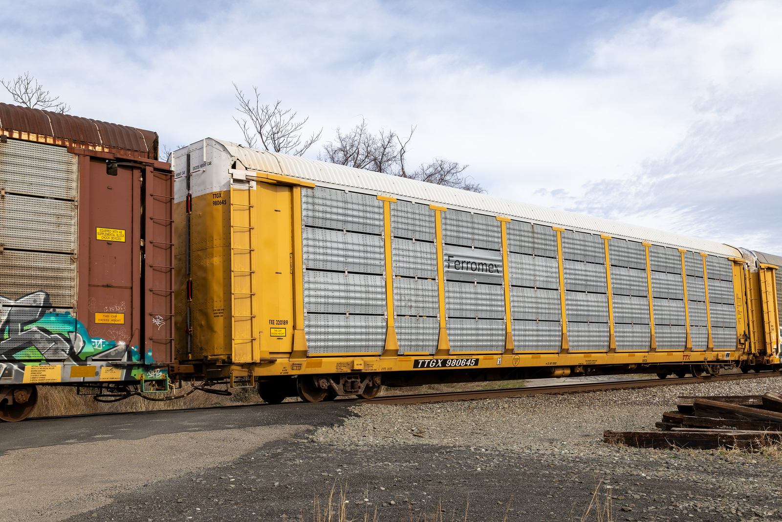 TTGX 980645