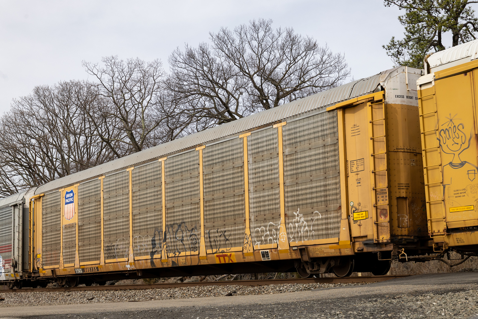 TTGX 985155