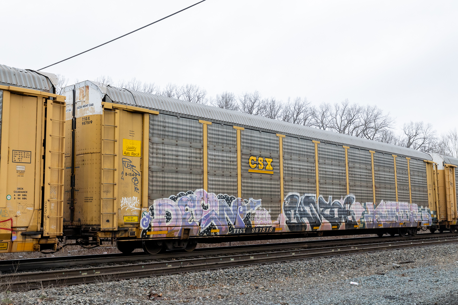 TTGX 987519