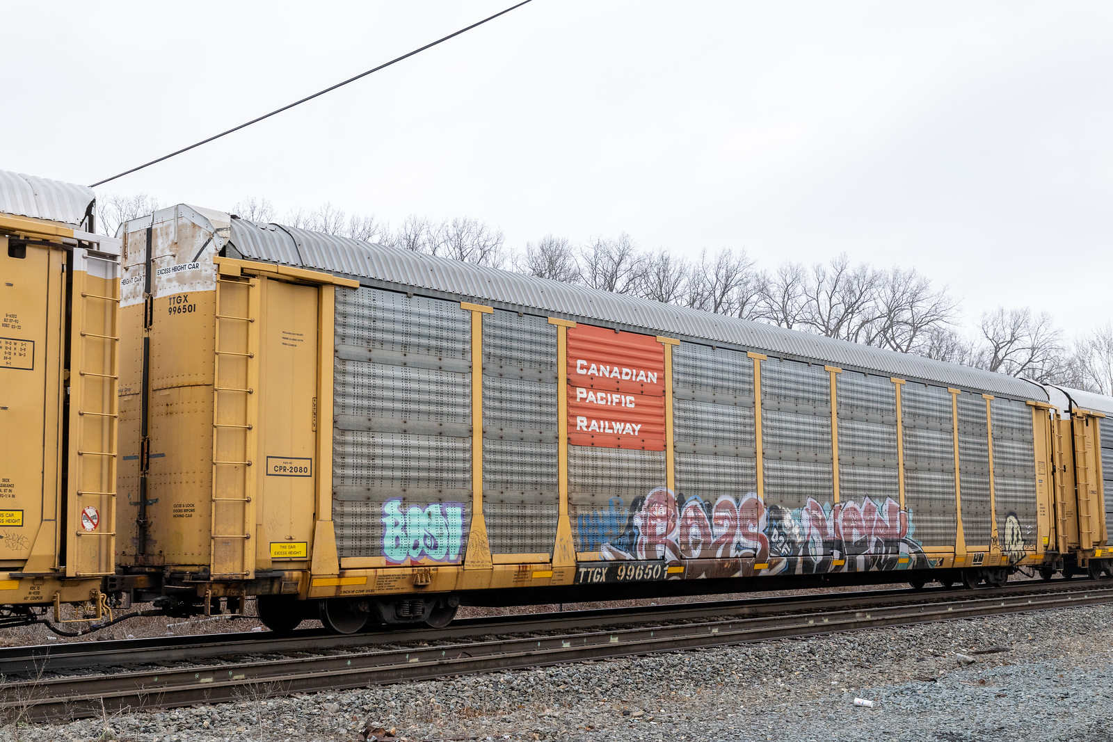 TTGX 996501