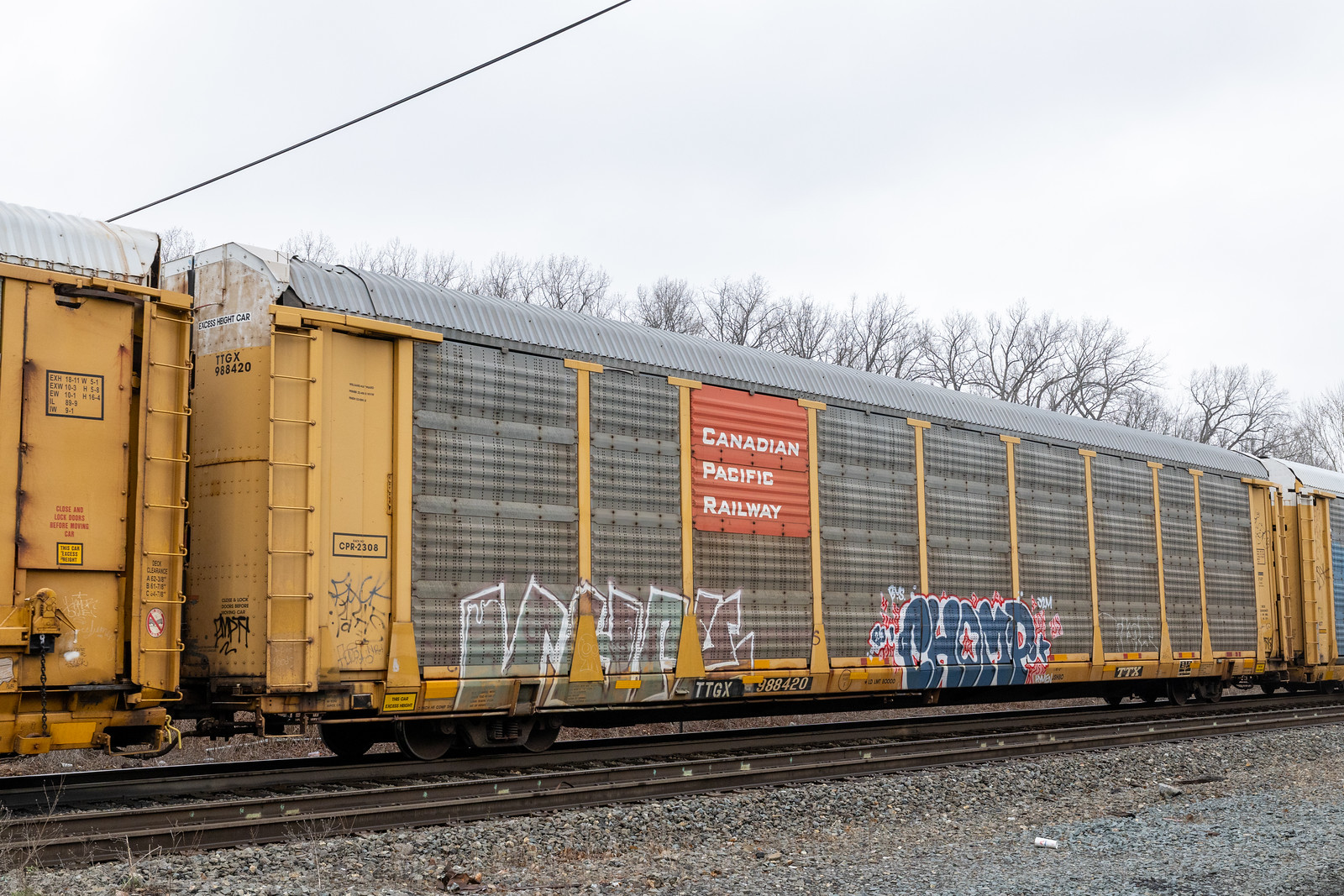 TTGX 988420