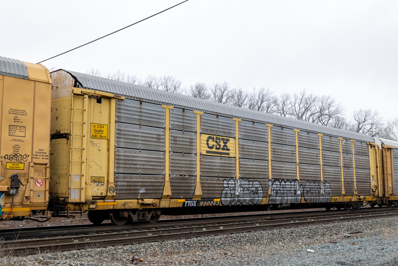 TTGX 990263