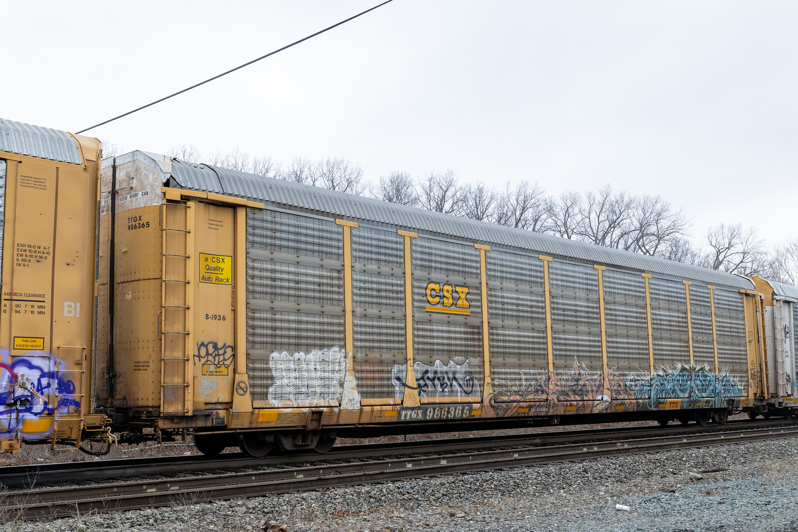 TTGX 986365