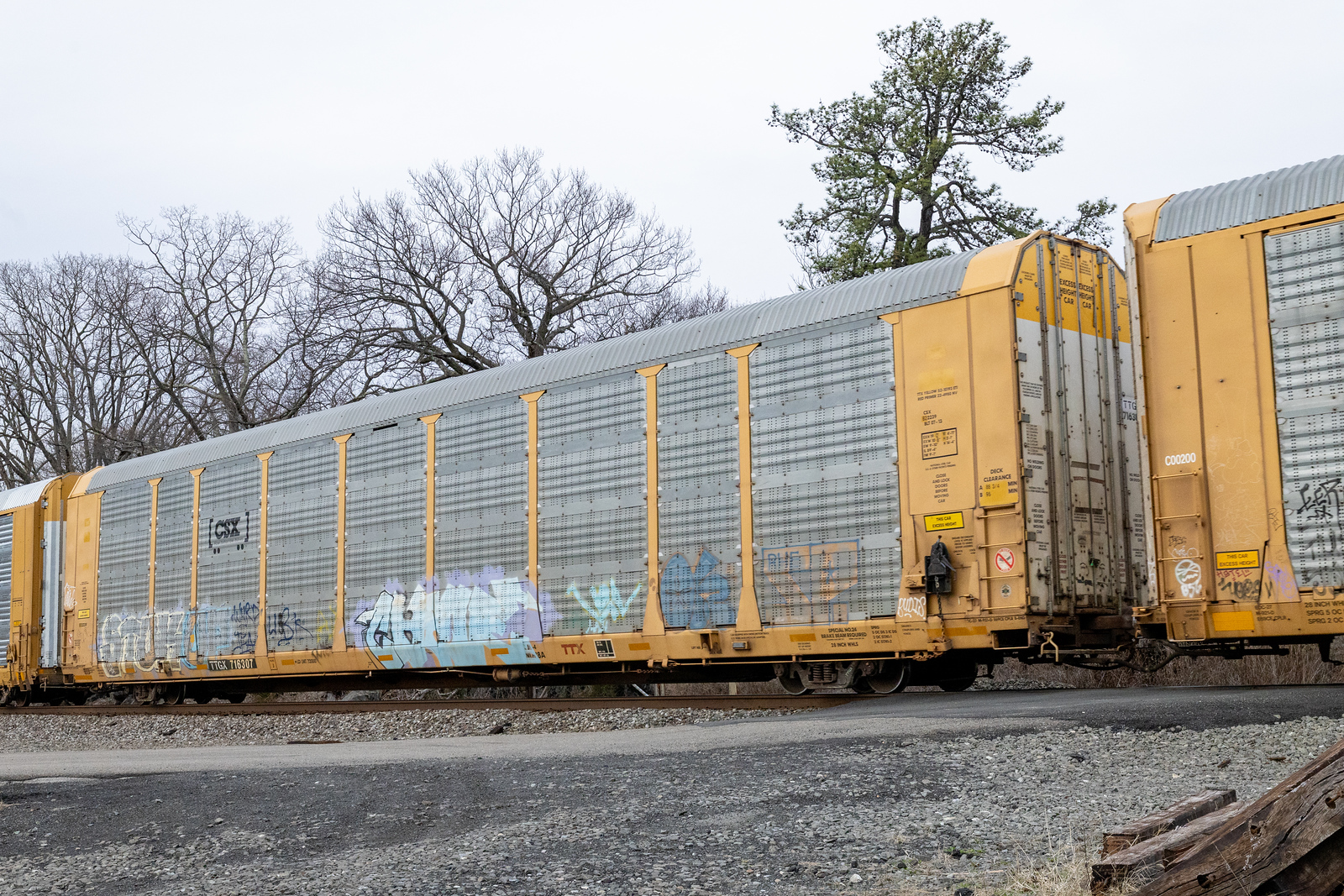 TTGX 716307