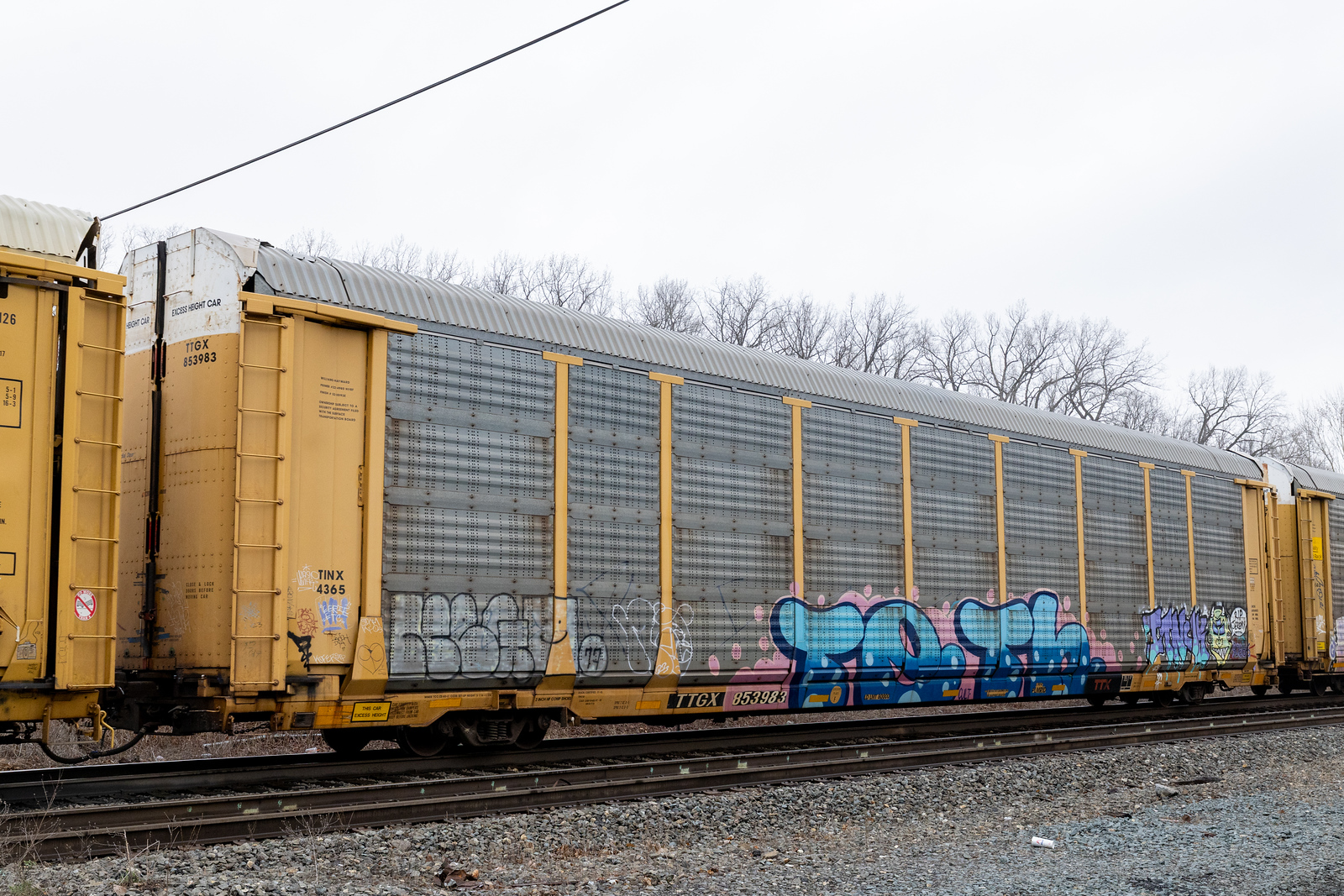 TTGX 853983