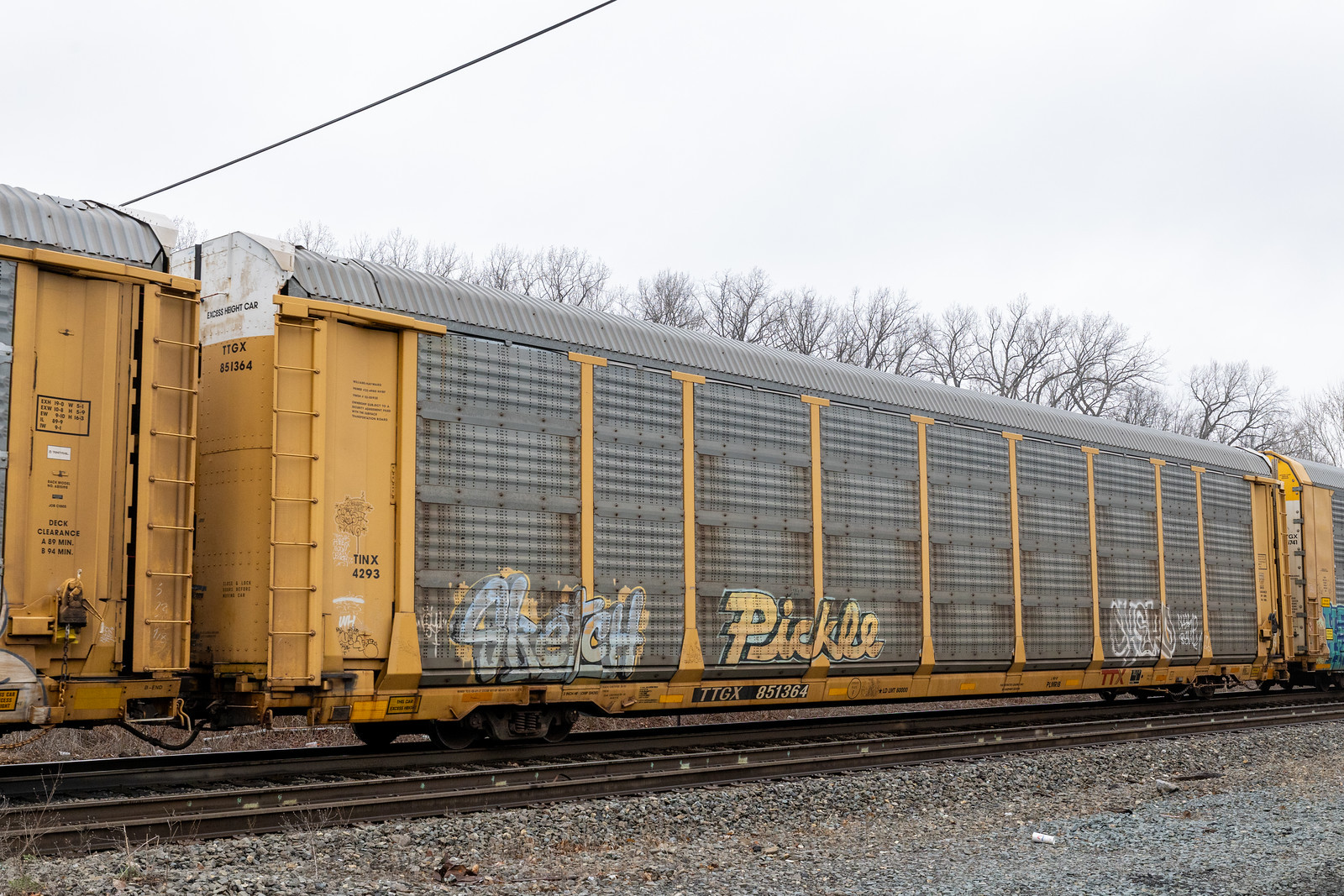 TTGX 851364