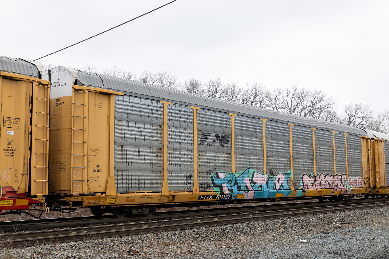 ETTX 703137