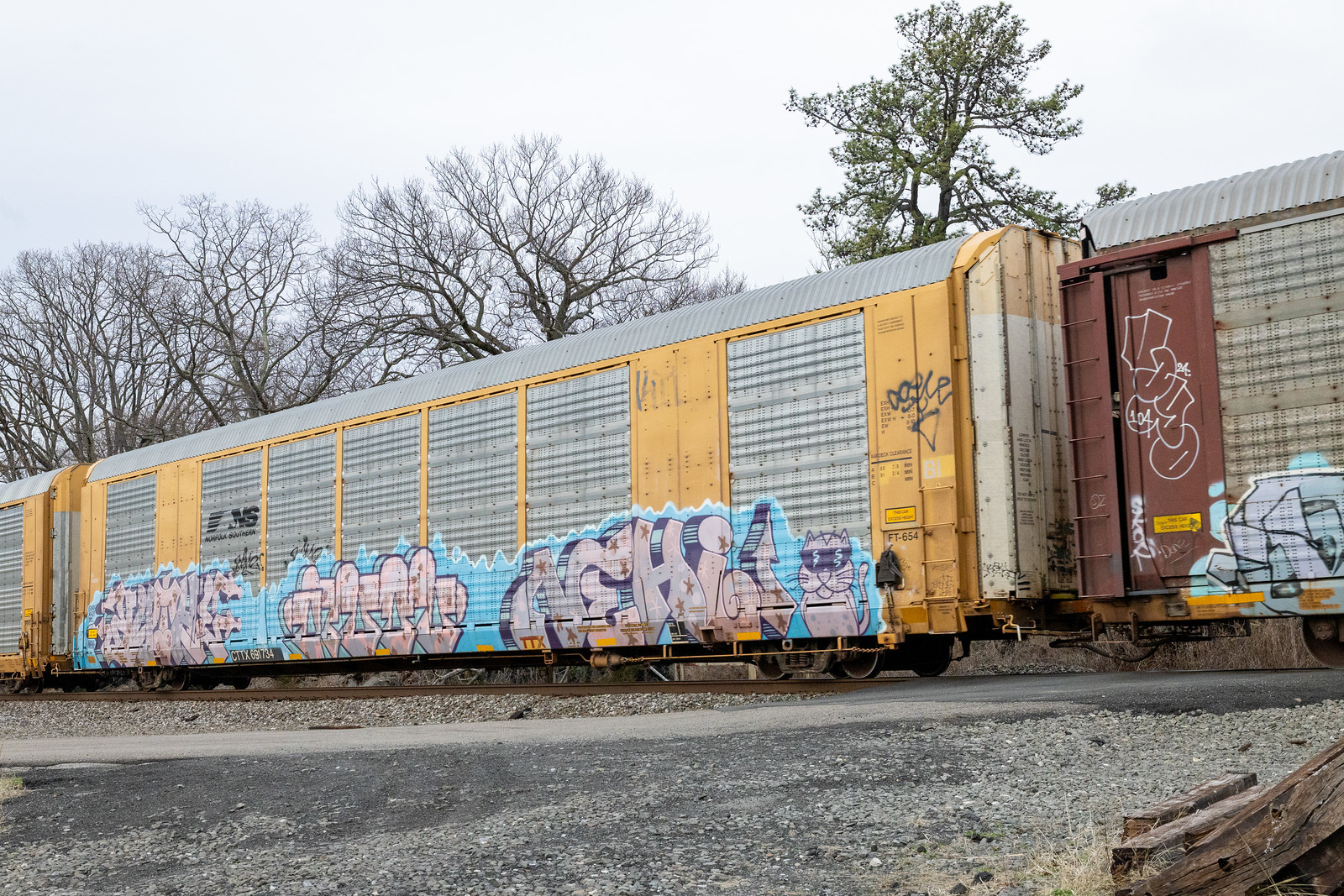 CTTX 691734