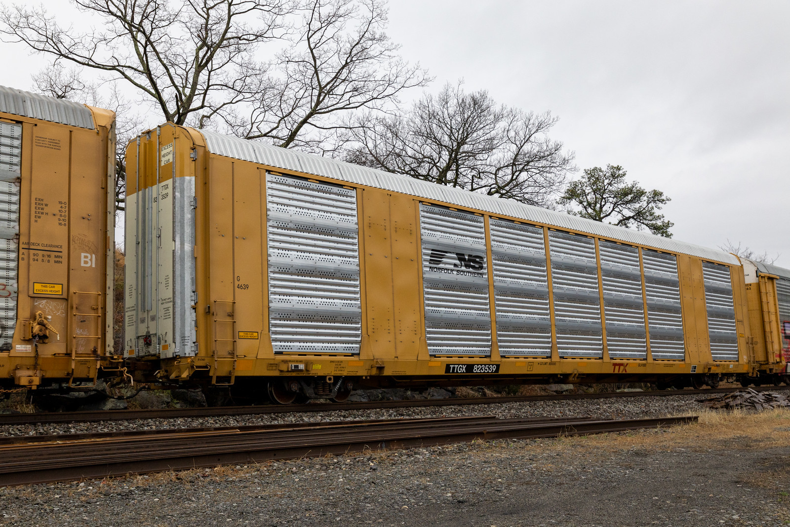 TTGX 823539