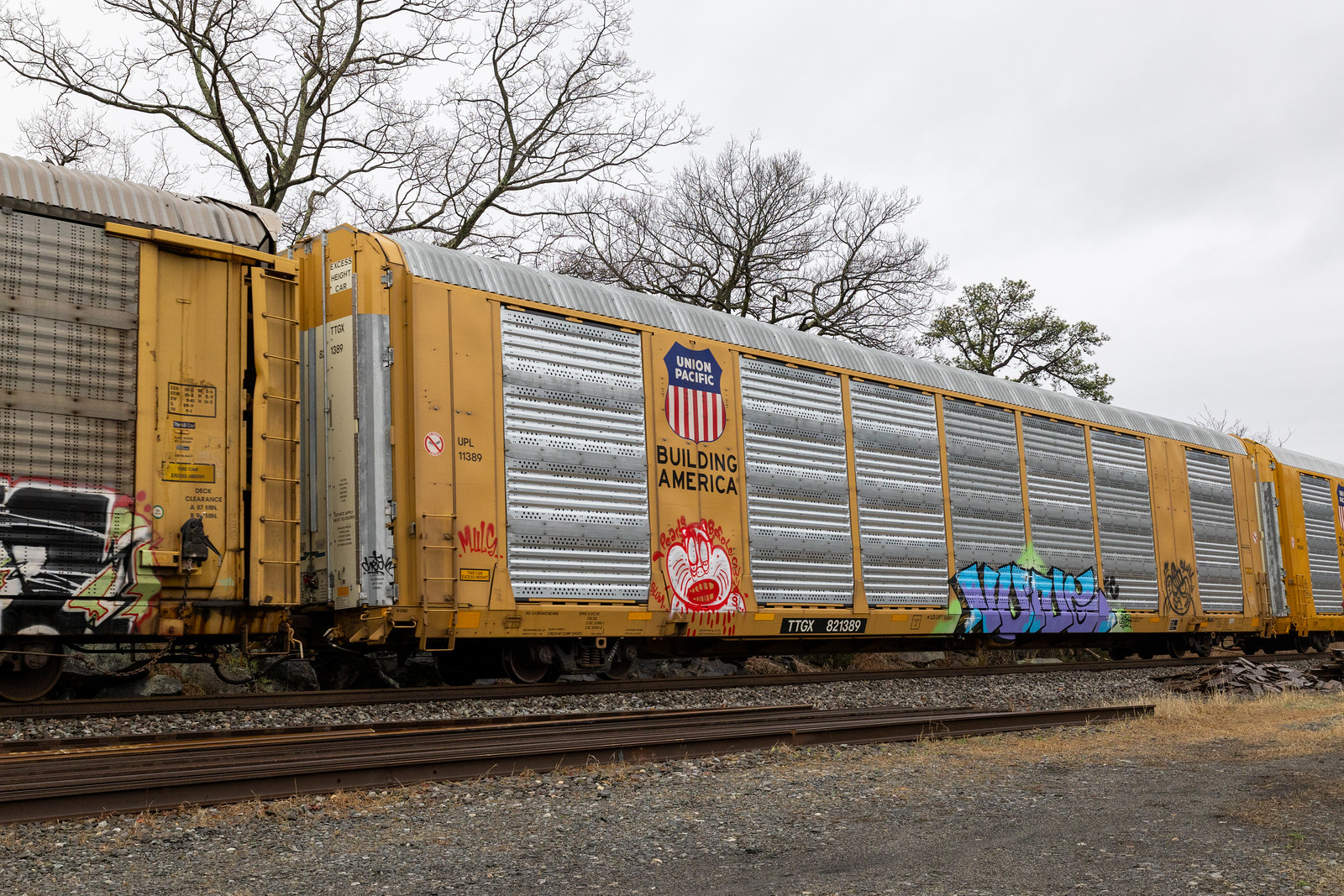 TTGX 821389