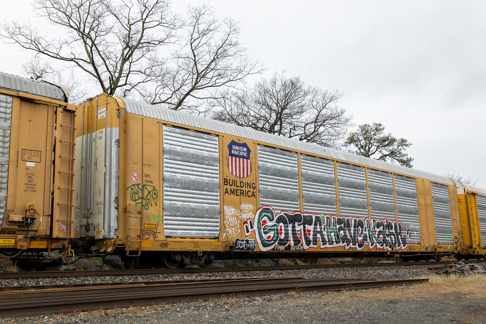 TTGX 821476