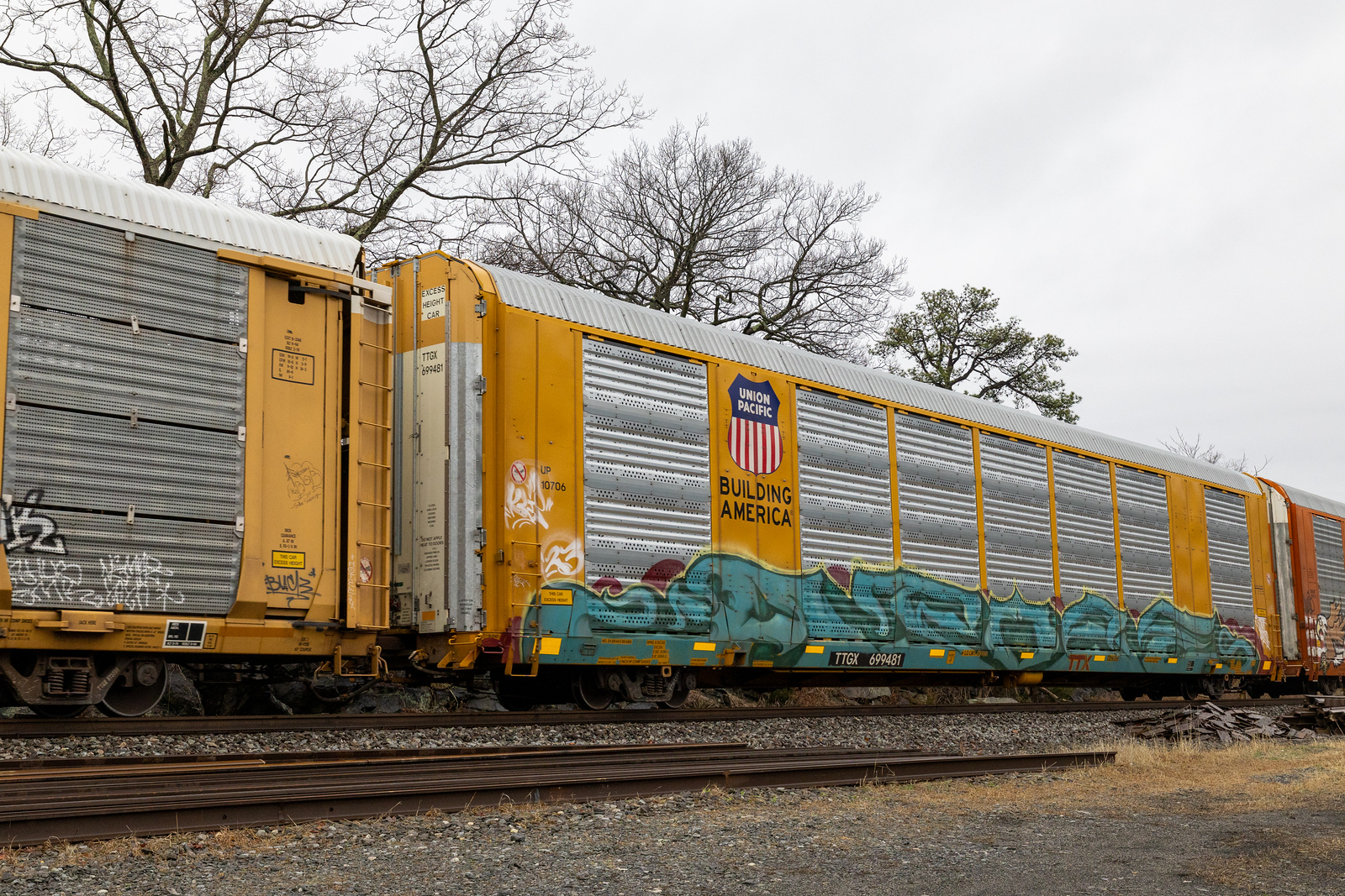 TTGX 699481