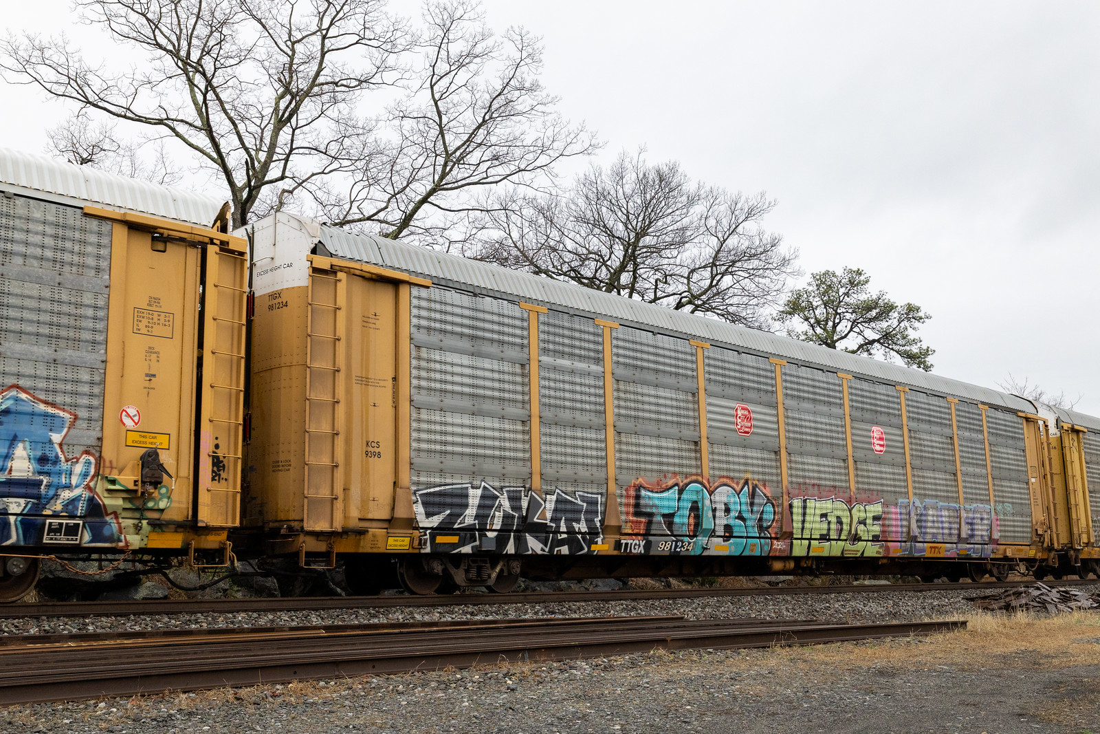 TTGX 981234