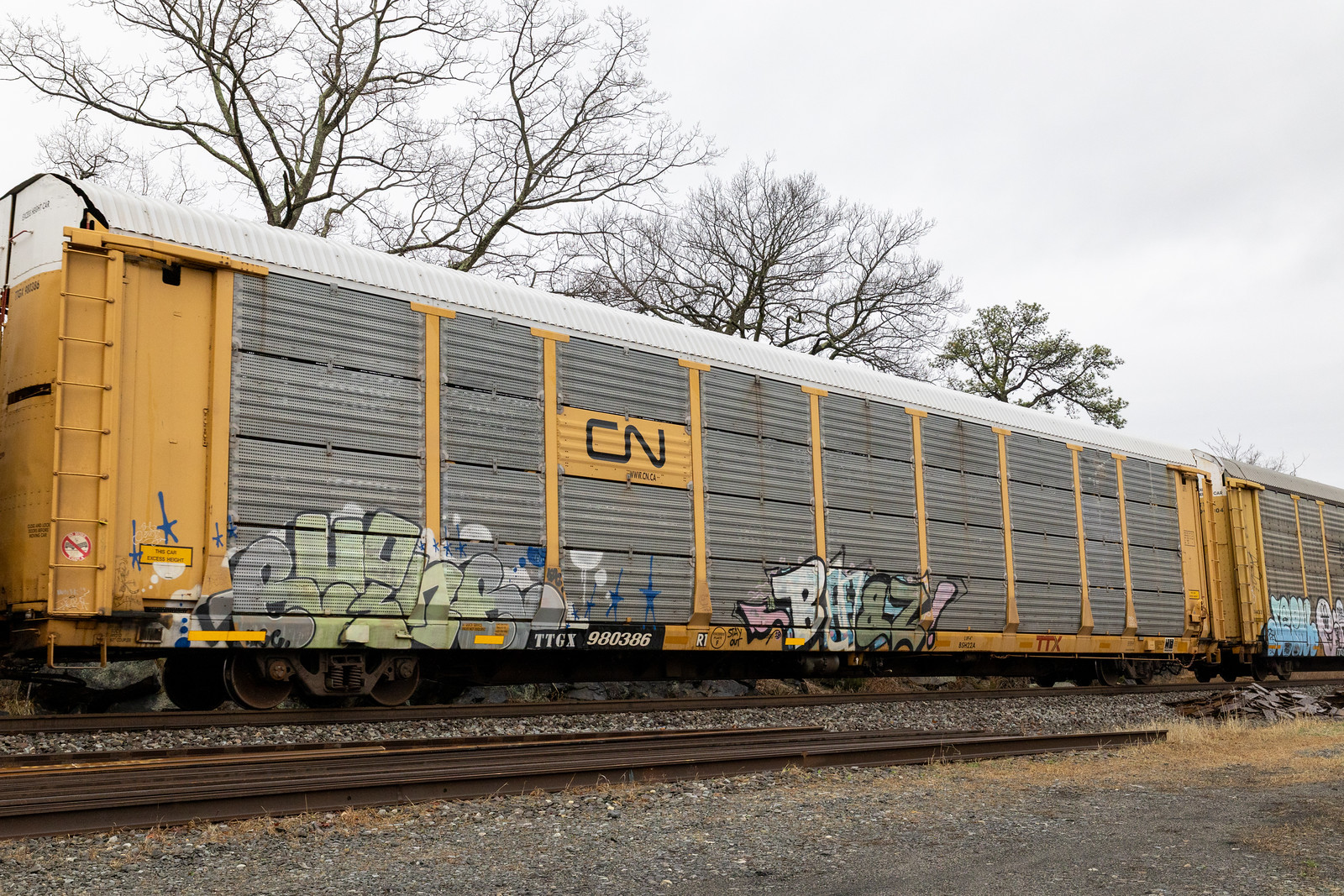 TTGX 980386