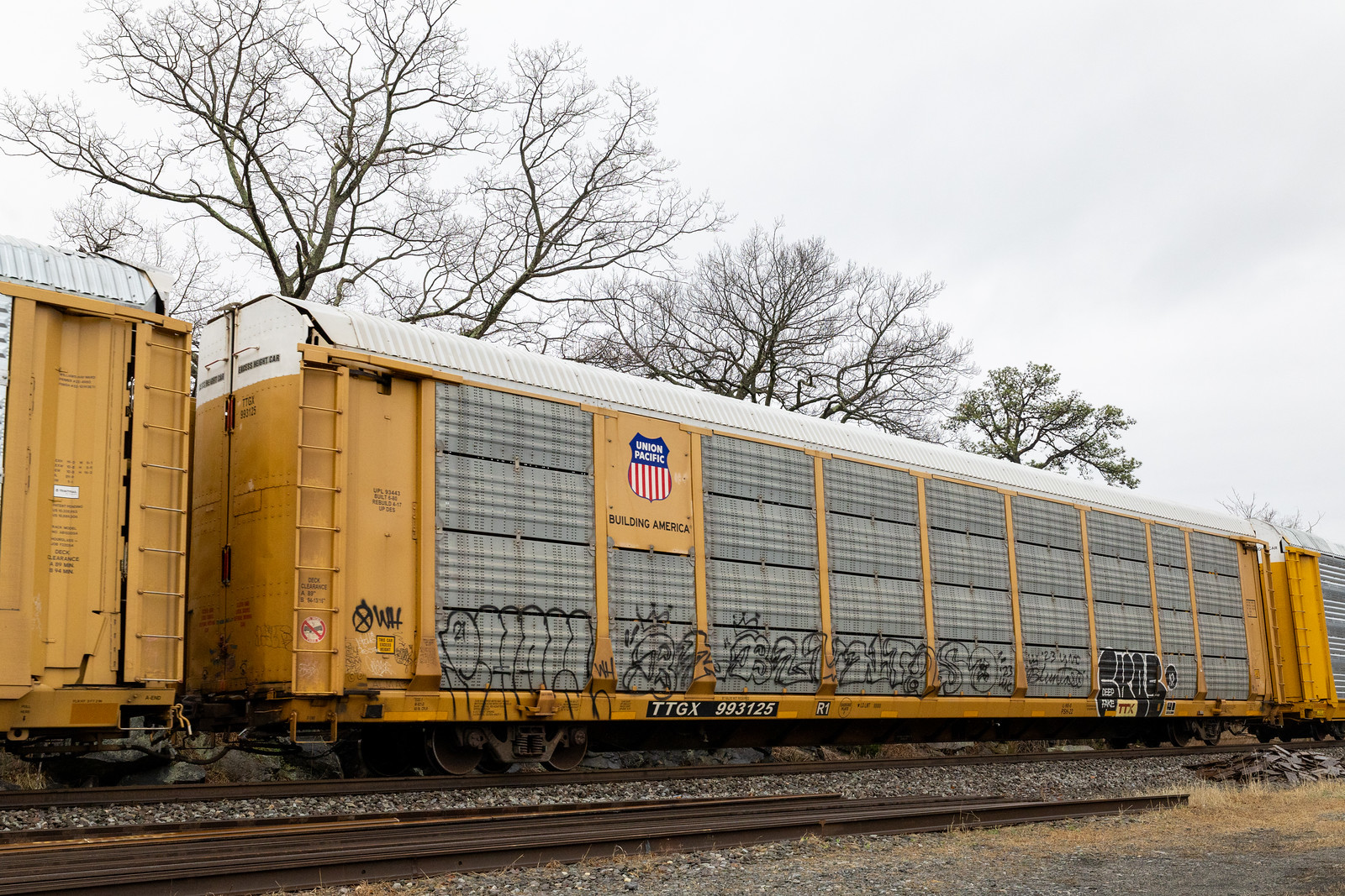 TTGX 993125