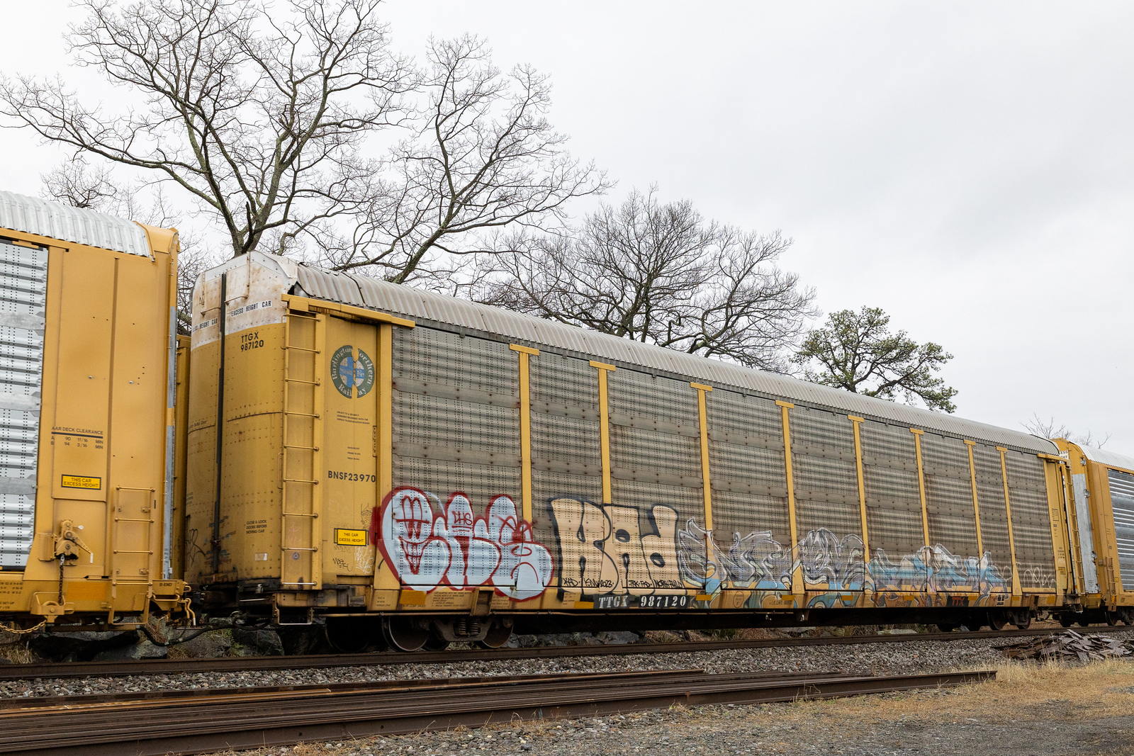 TTGX 987120
