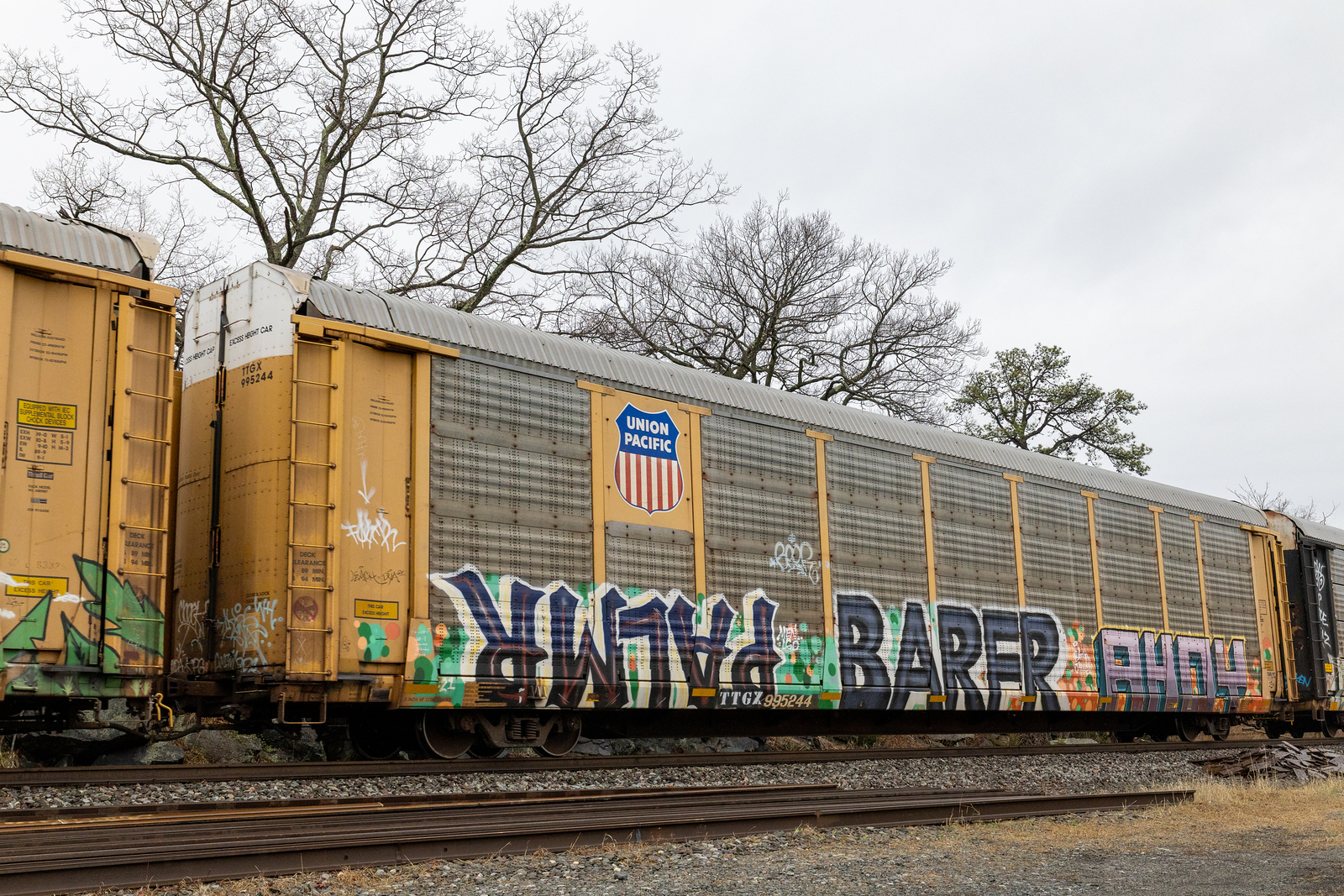 TTGX 995244