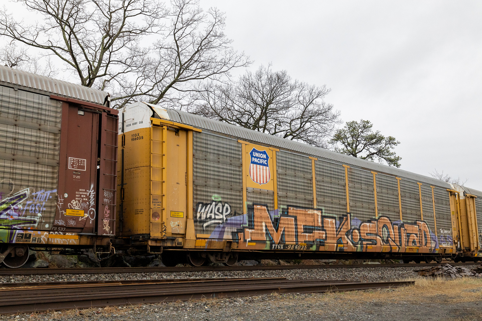 TTGX 986035