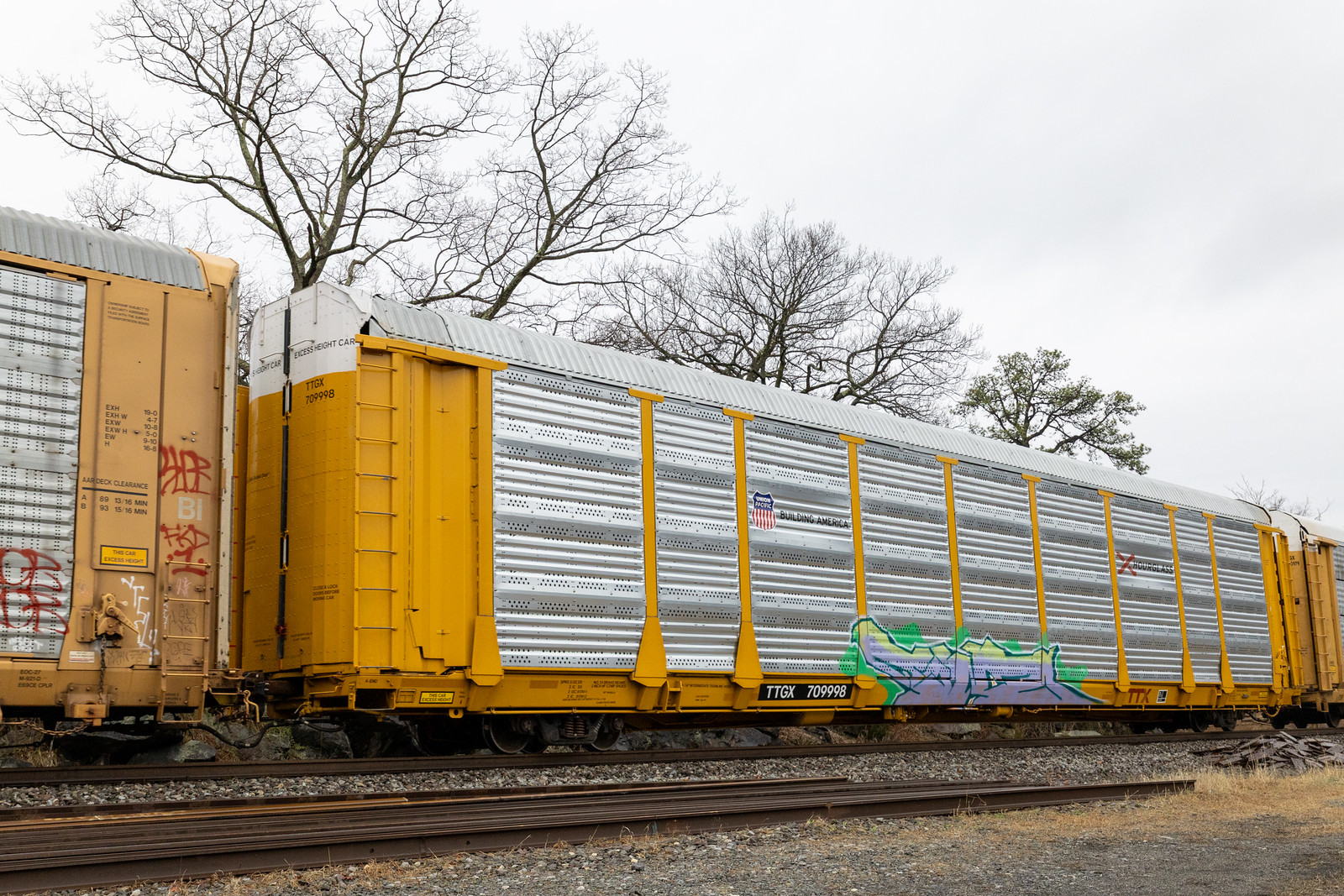 TTGX 709998