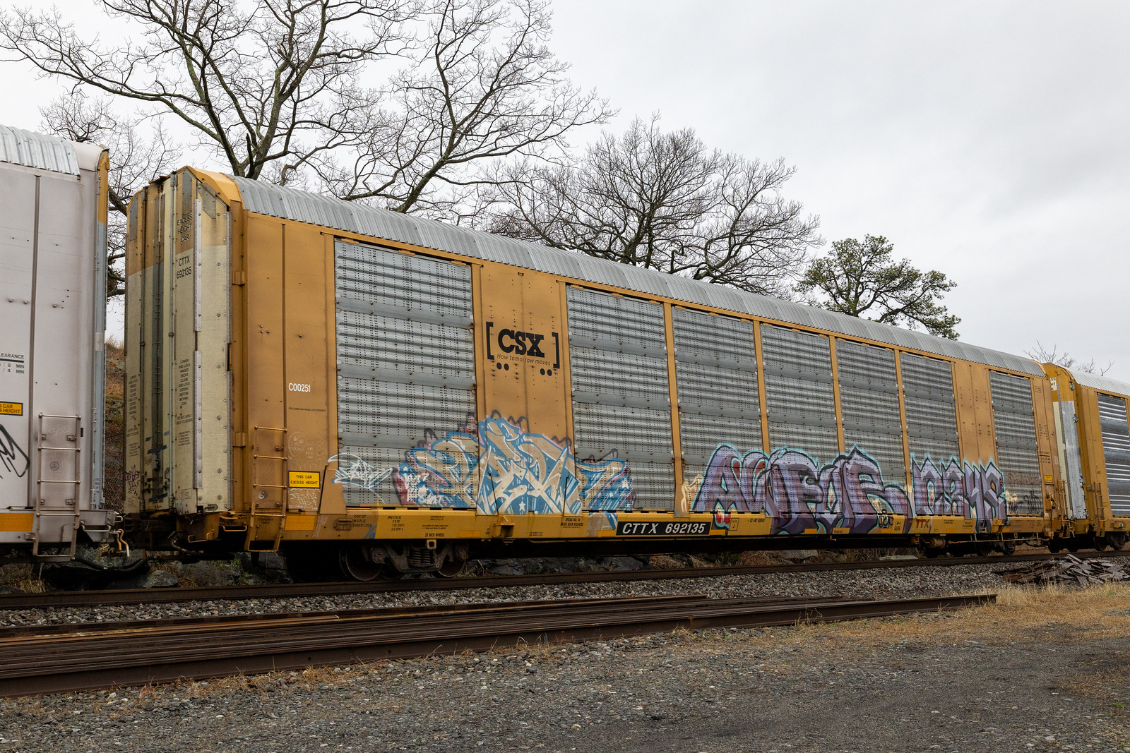CTTX 692135