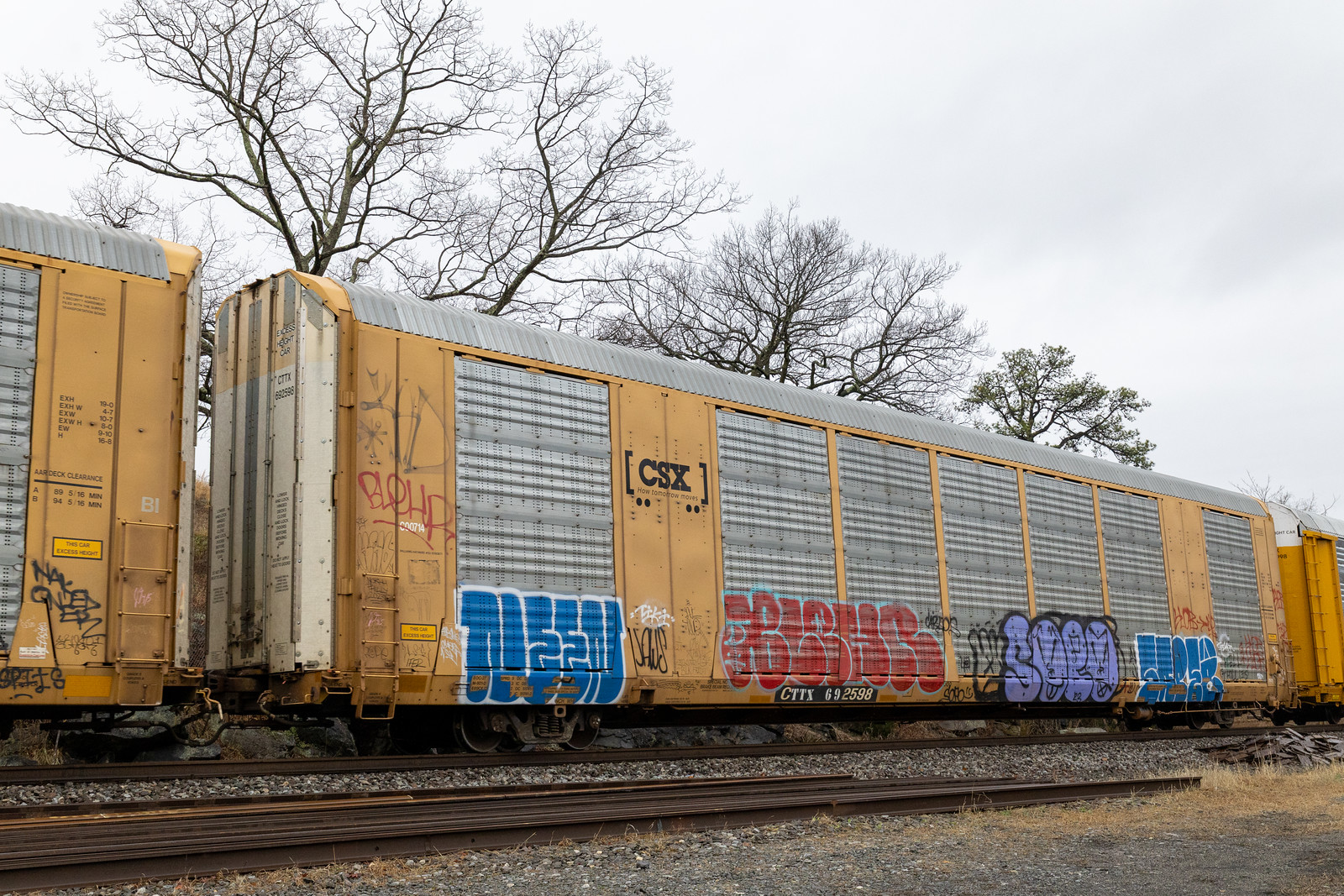 CTTX 692598