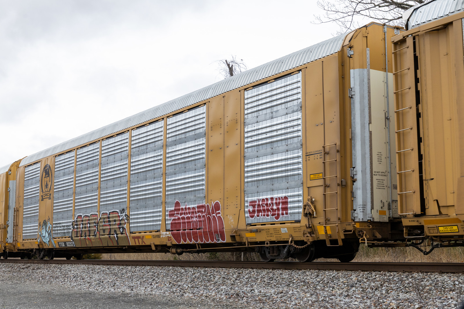 TTGX 822526