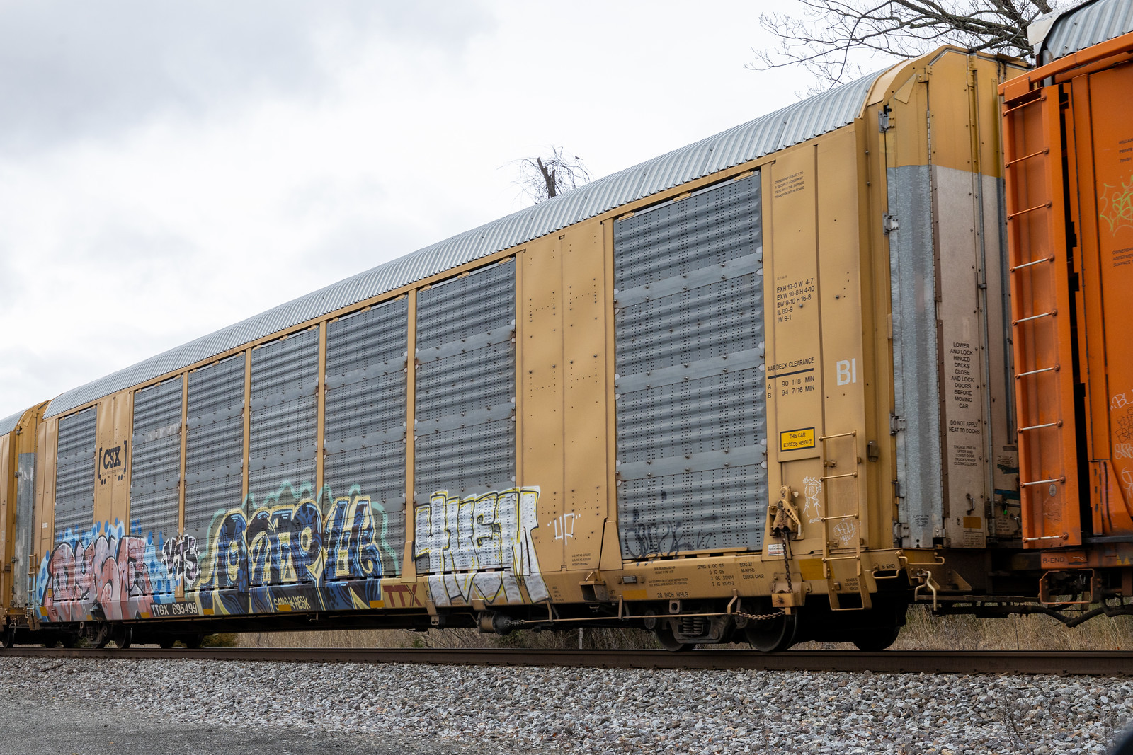 TTGX 695499